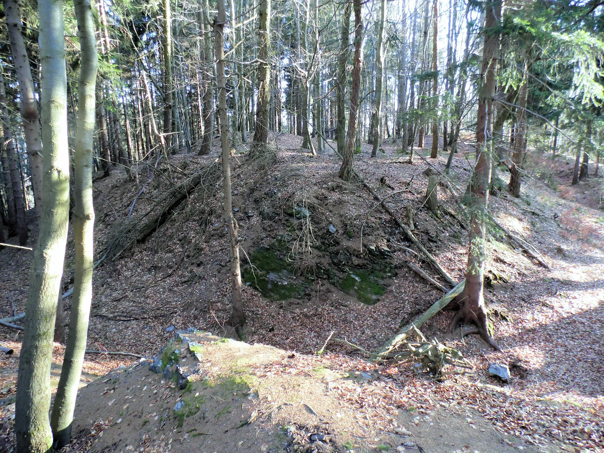 Photo showing: Der innere Bereich mit umlaufenden Wallgraben