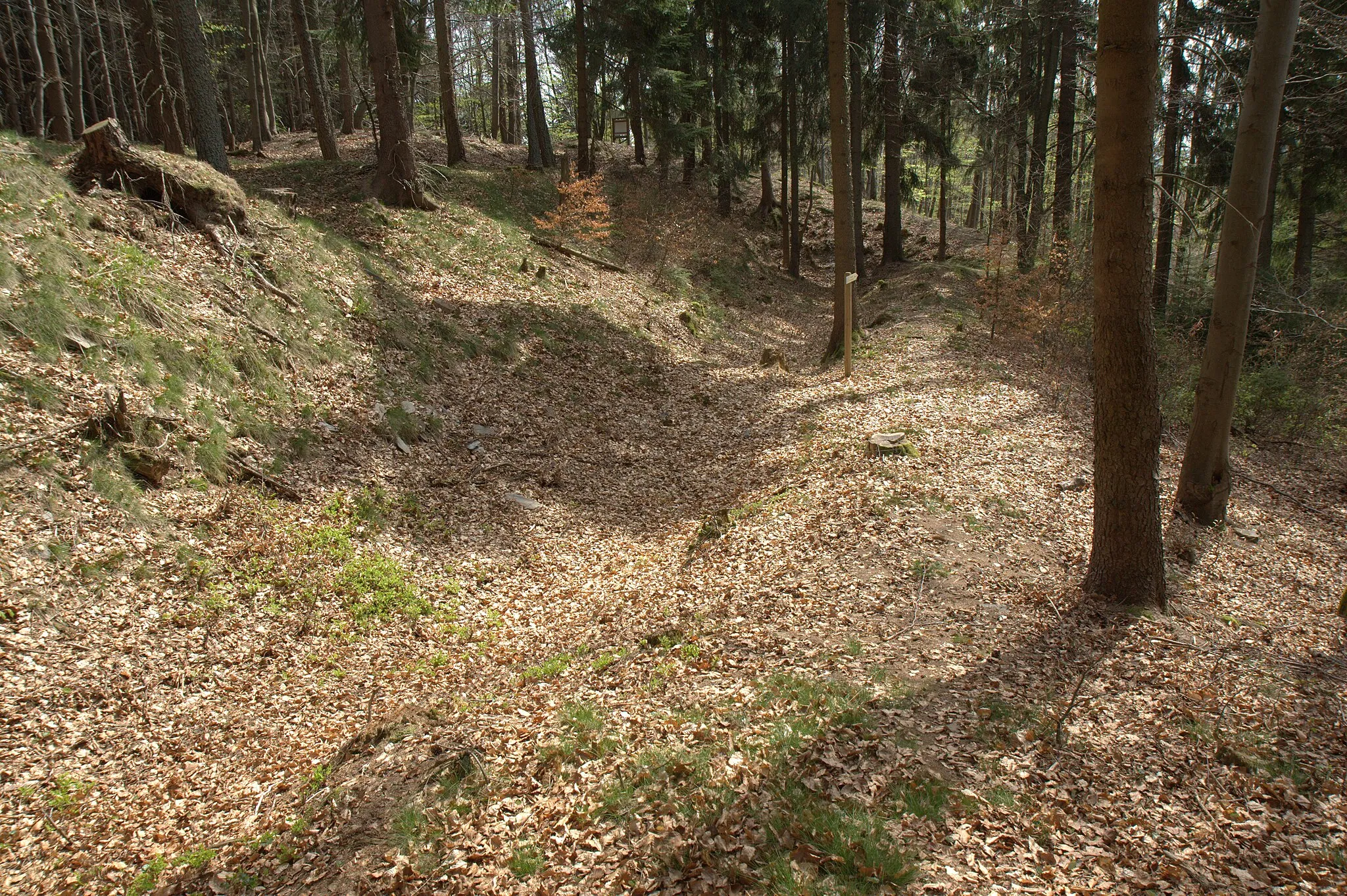 Photo showing: Burgstall Schlosshügel - Hanggraben im Bereich des Zugangs zur Hauptburg