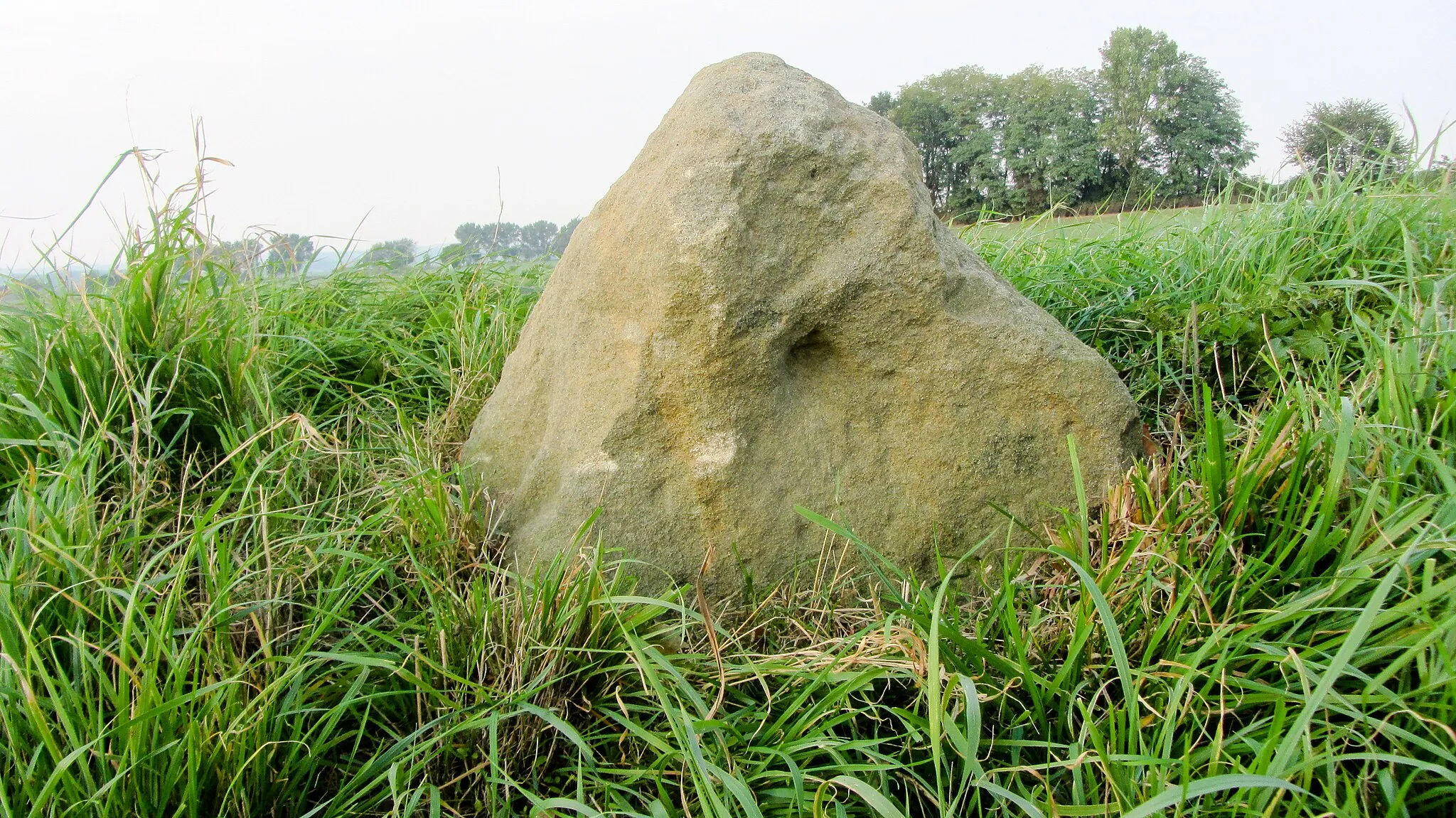 Photo showing: This media shows the protected monument of Saxony with the ID 08959216 KDSa/08959216(other).