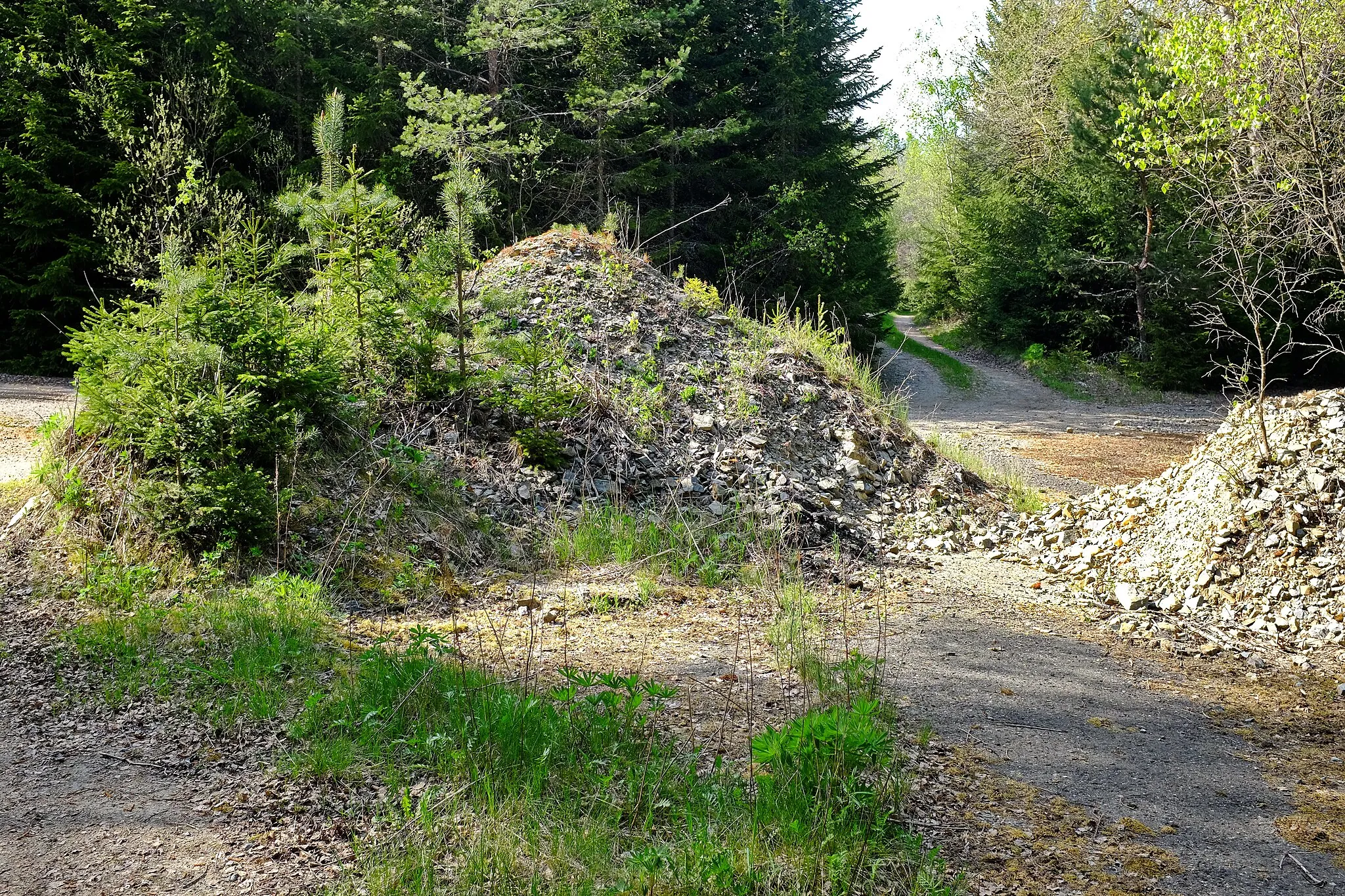 Photo showing: Slatina, zaniklá obec v Českém lese, cesta k dolu Dyleň, okres Cheb