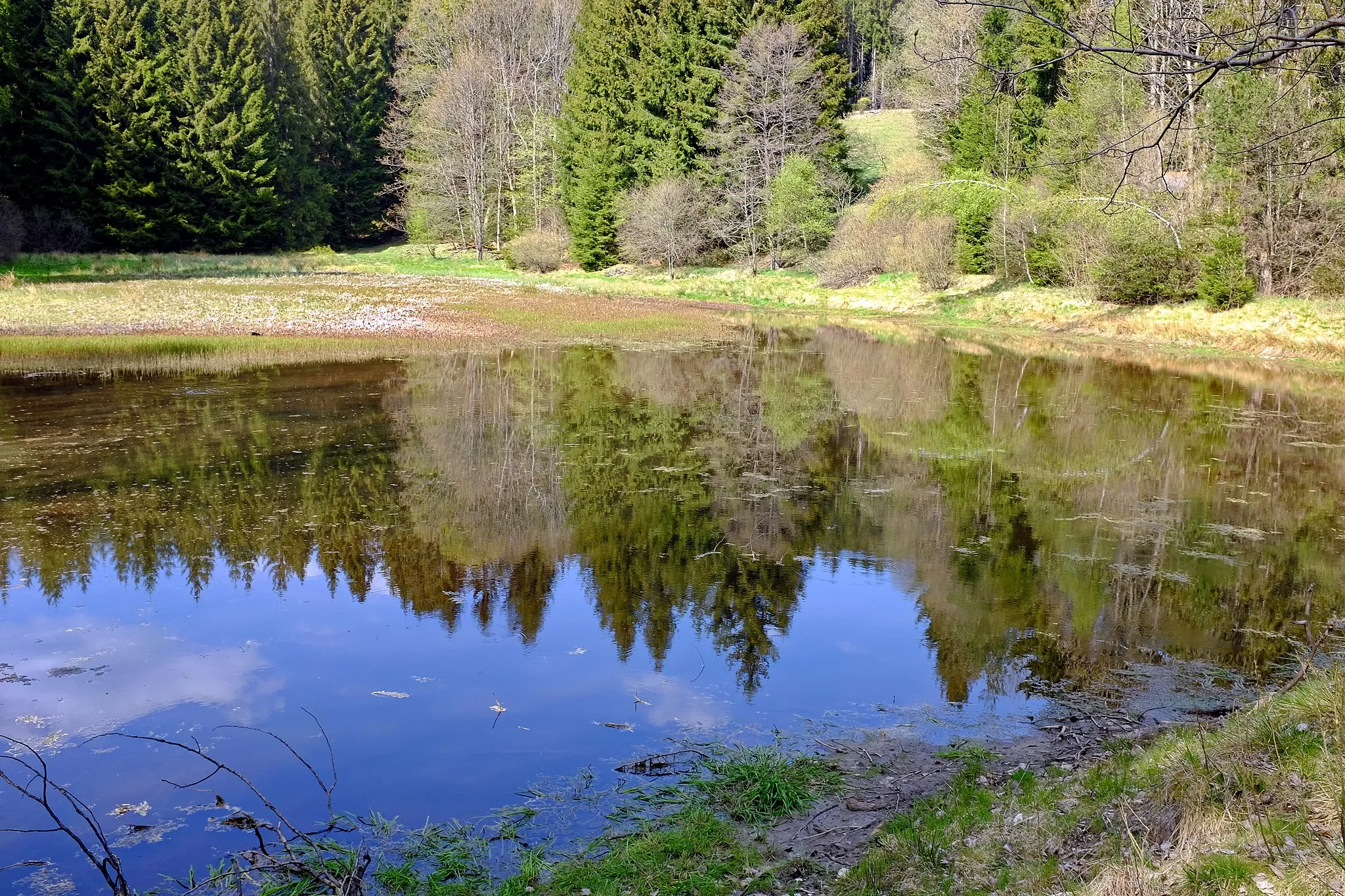 Photo showing: Slatina, zaniklá obec v Českém lese, rybník na Hamerském potoce, okres Cheb