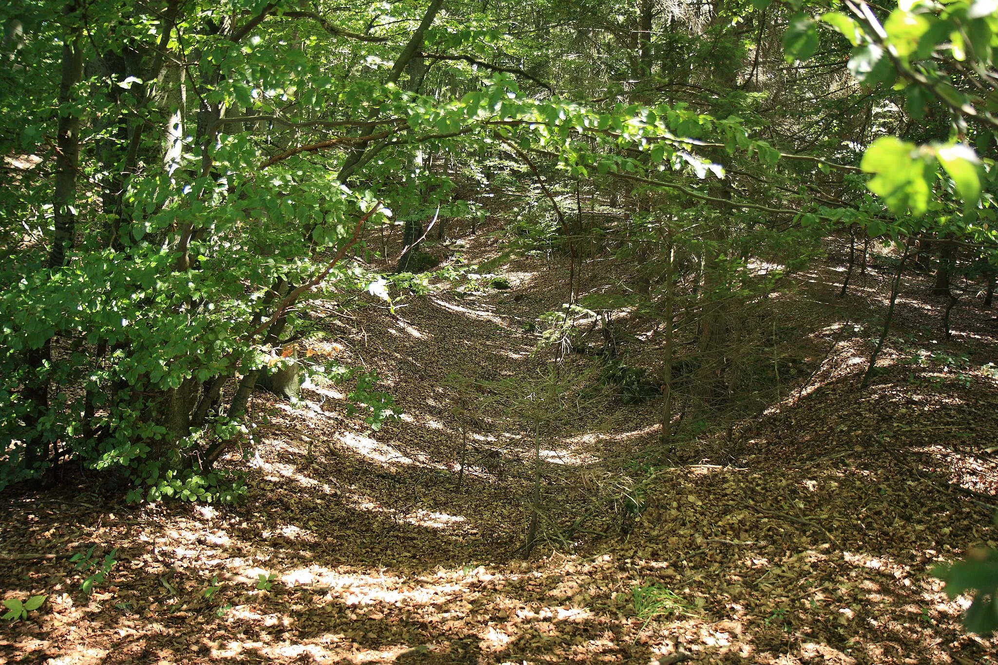 Photo showing: Burgstall Saufelsen - Blick in den Ringgraben, links die Burgstelle