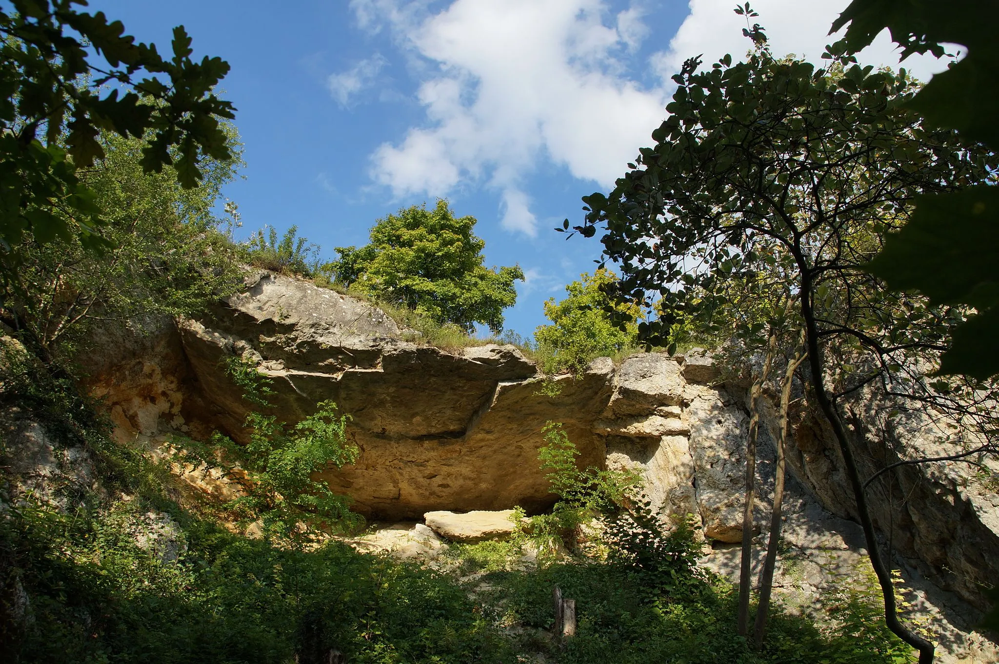 Photo showing: Schutzfelsen bei Pentling, Geotop-Nummer: 375R032