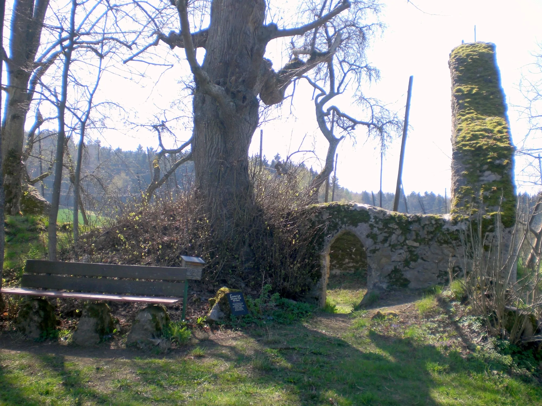 Photo showing: Kapellenruine zum heiligen Baum nahe Arzlohe (Pommelsbrunn)