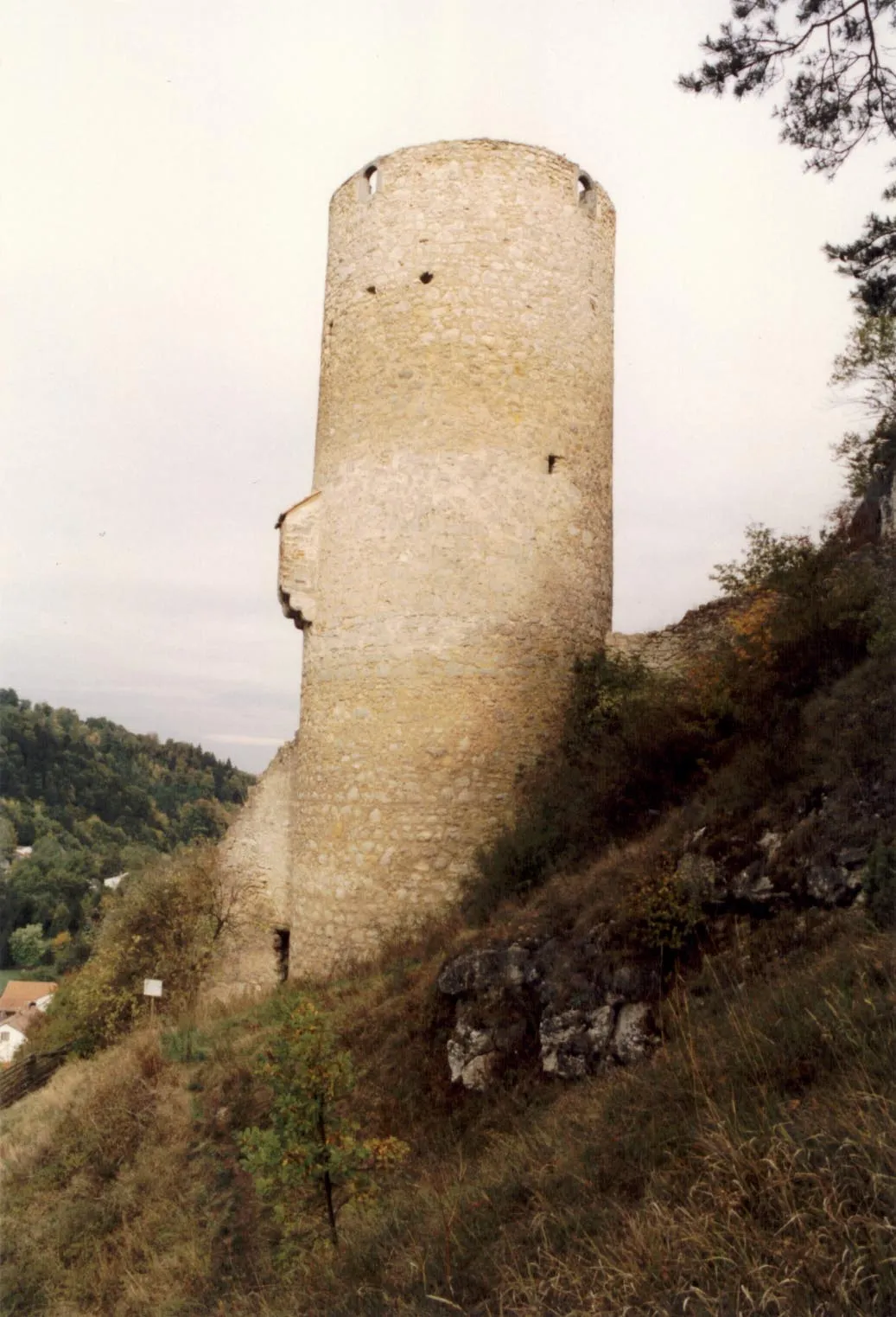Photo showing: Burg Loch, Südseite des Bergfrieds