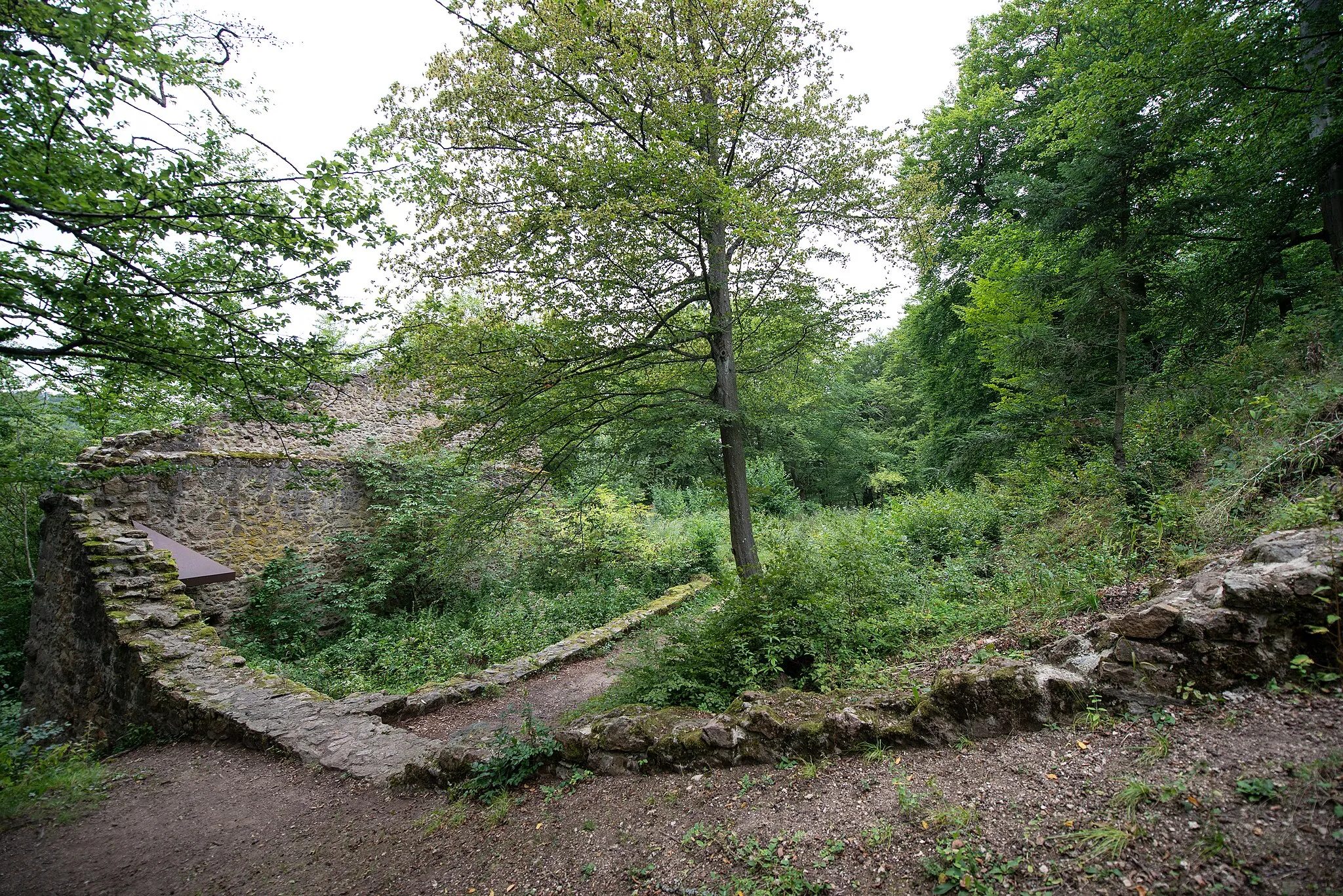 Photo showing: Vorburg der Burgruine Stockenfels mit Mauerresten