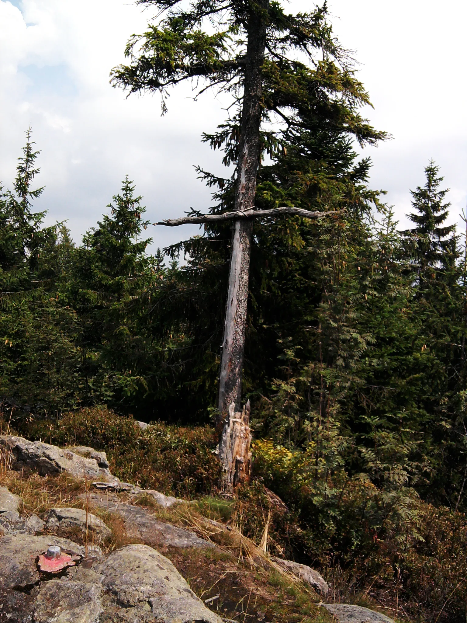 Photo showing: Improvisiertes Gipfelkreuz am Klausenstein