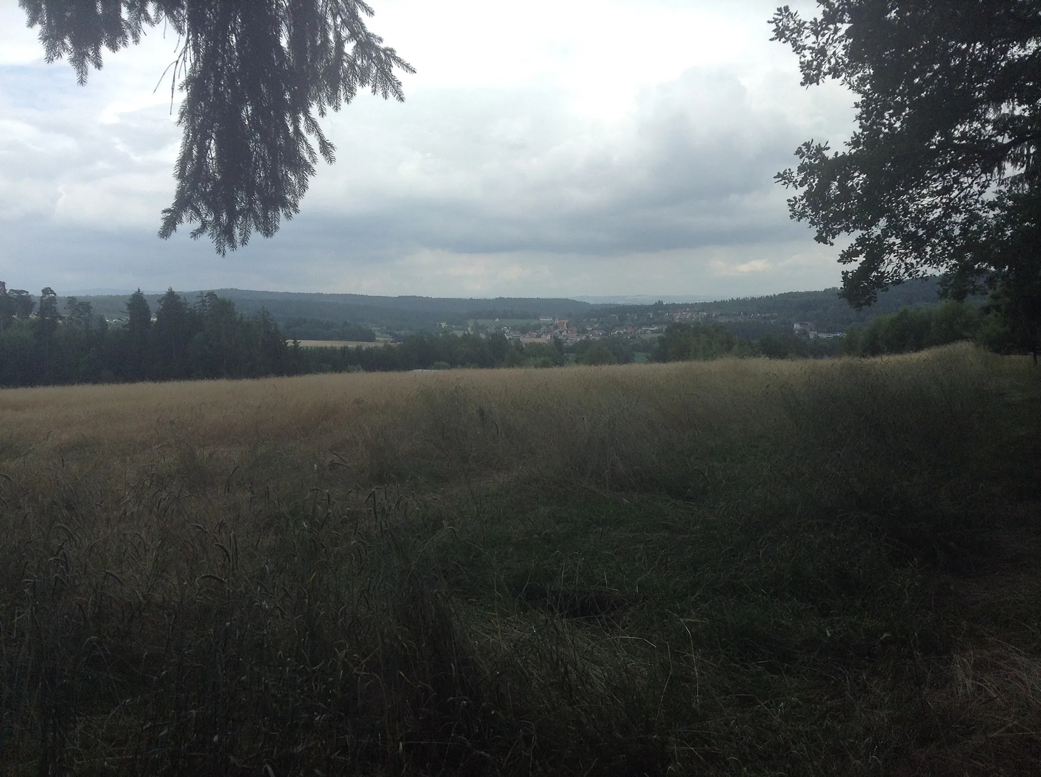 Photo showing: Blick vom Wappenstein über Pechbrunn zum Großen Teichelberg