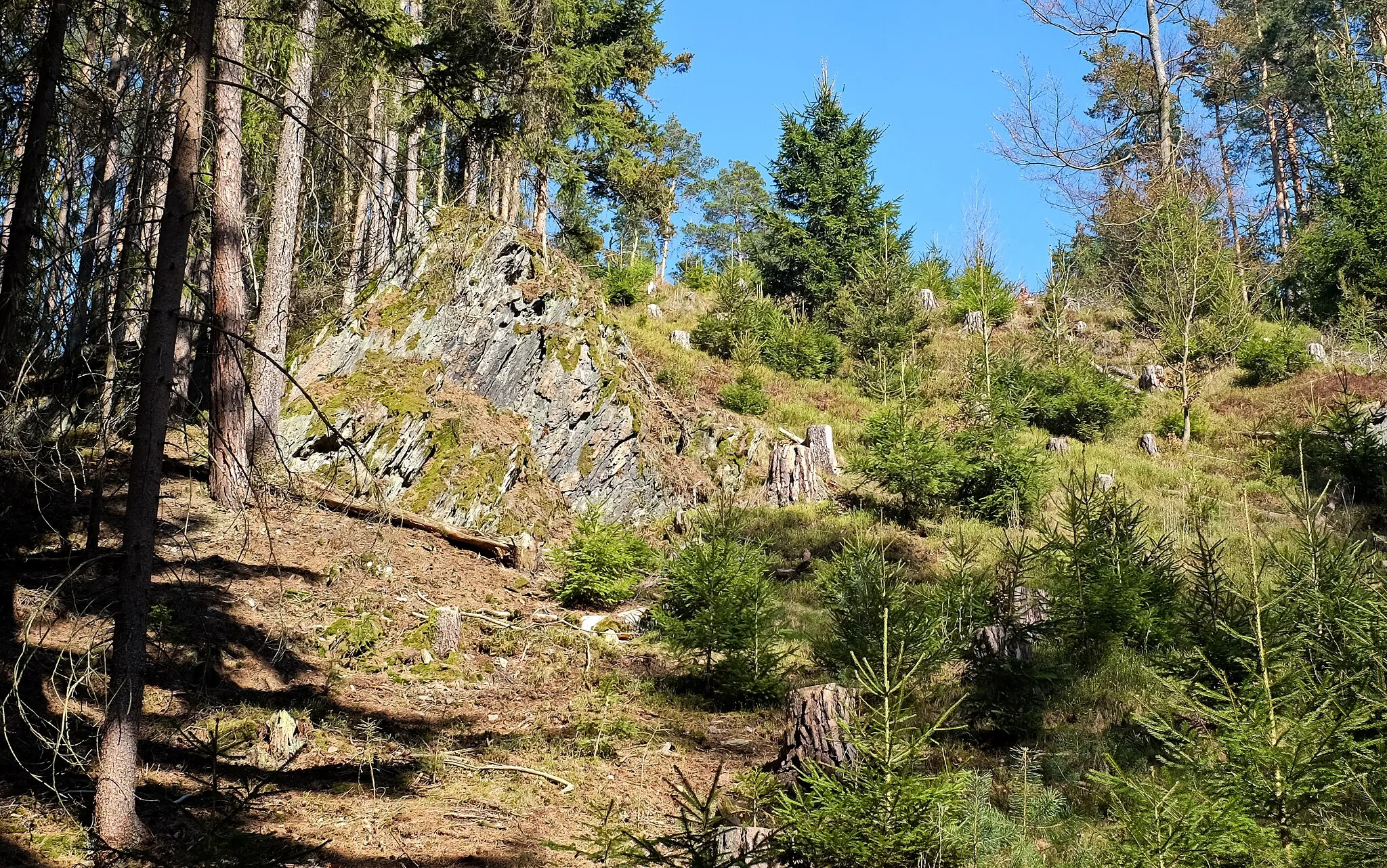 Photo showing: Naučná stezka "Stebnický potok", okolní svorové skalky, okres Cheb