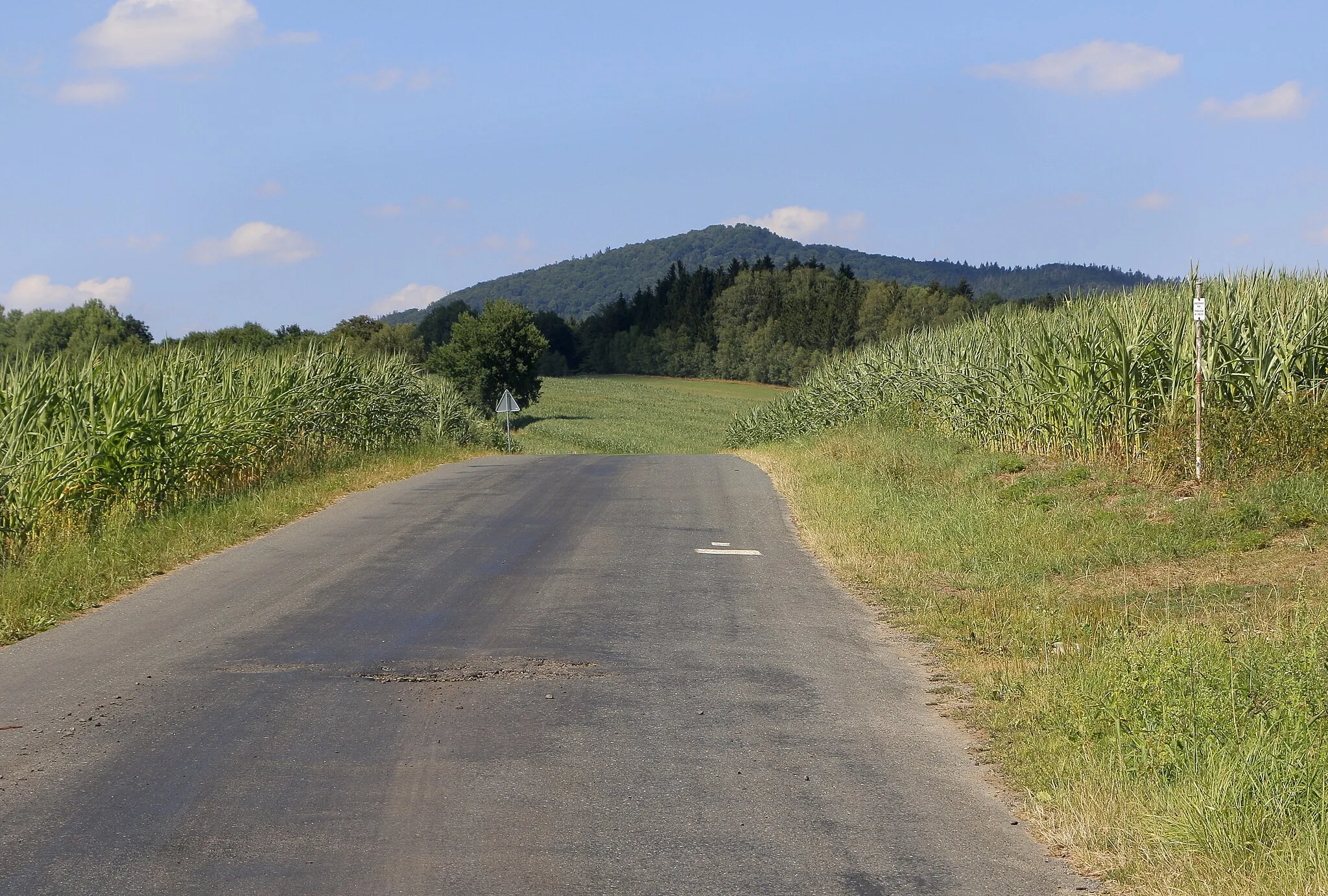 Photo showing: Road from Novosedly, part of Nemanice, Czech Republic.