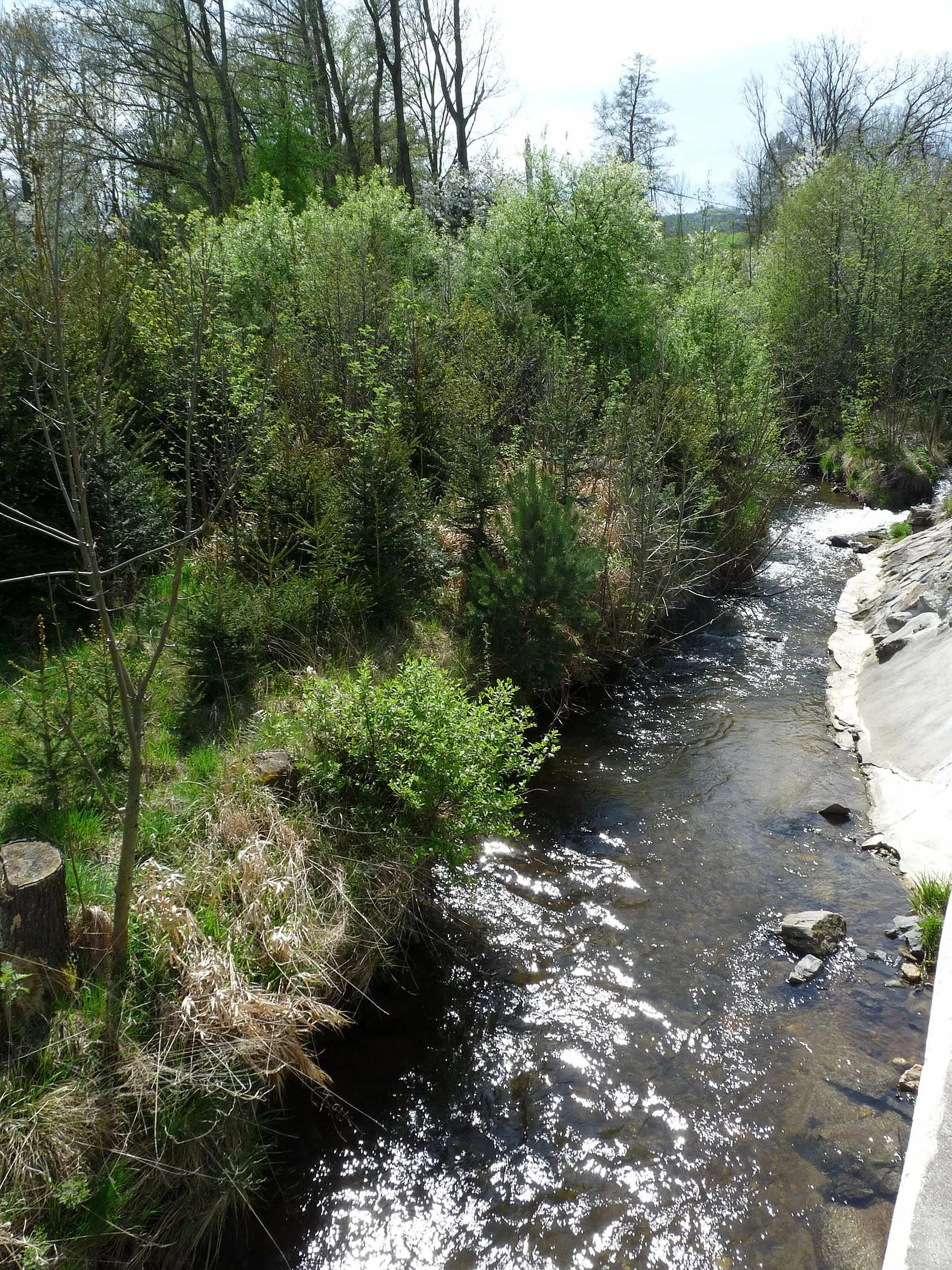 Photo showing: Jelenka Stream in the village of Opálka, part of the town of Strážov, Klatovy District, Czech Republic
