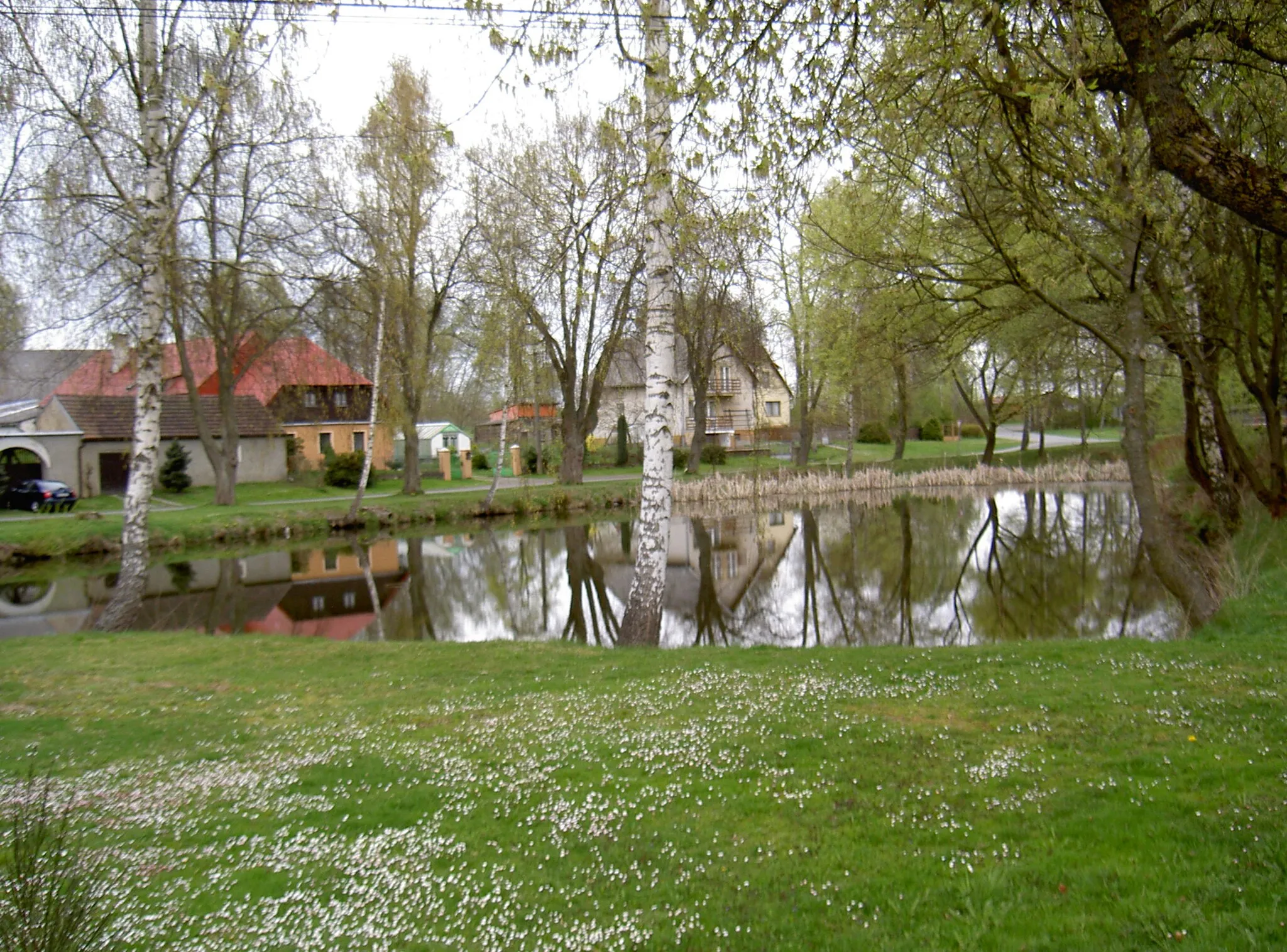 Photo showing: Třemešné (Zemschen)