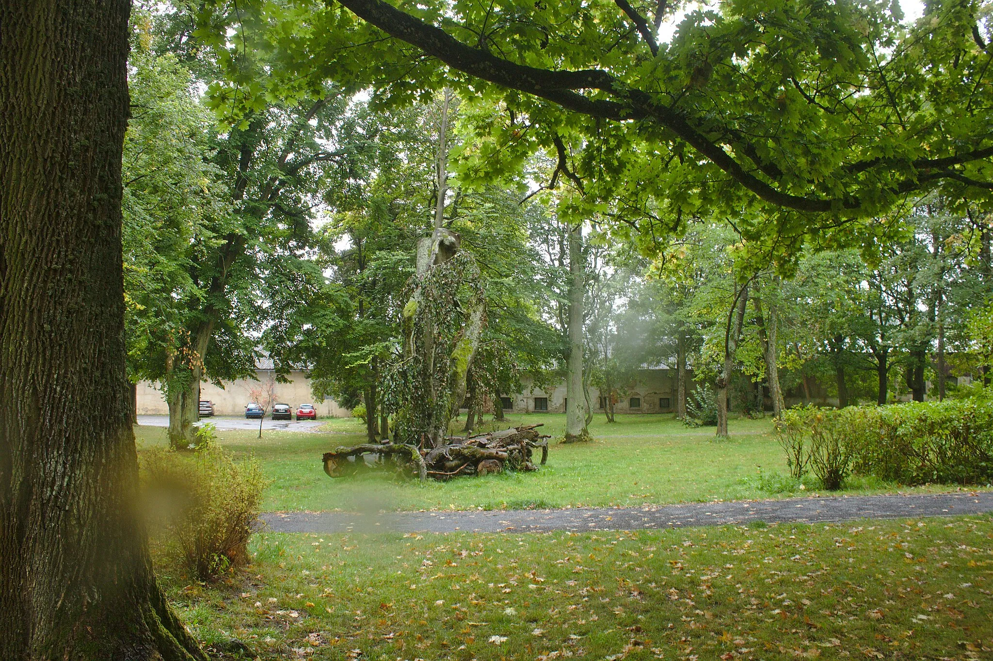 Photo showing: Bývalý zámecký park v obci Halže, Plzeňský kraj