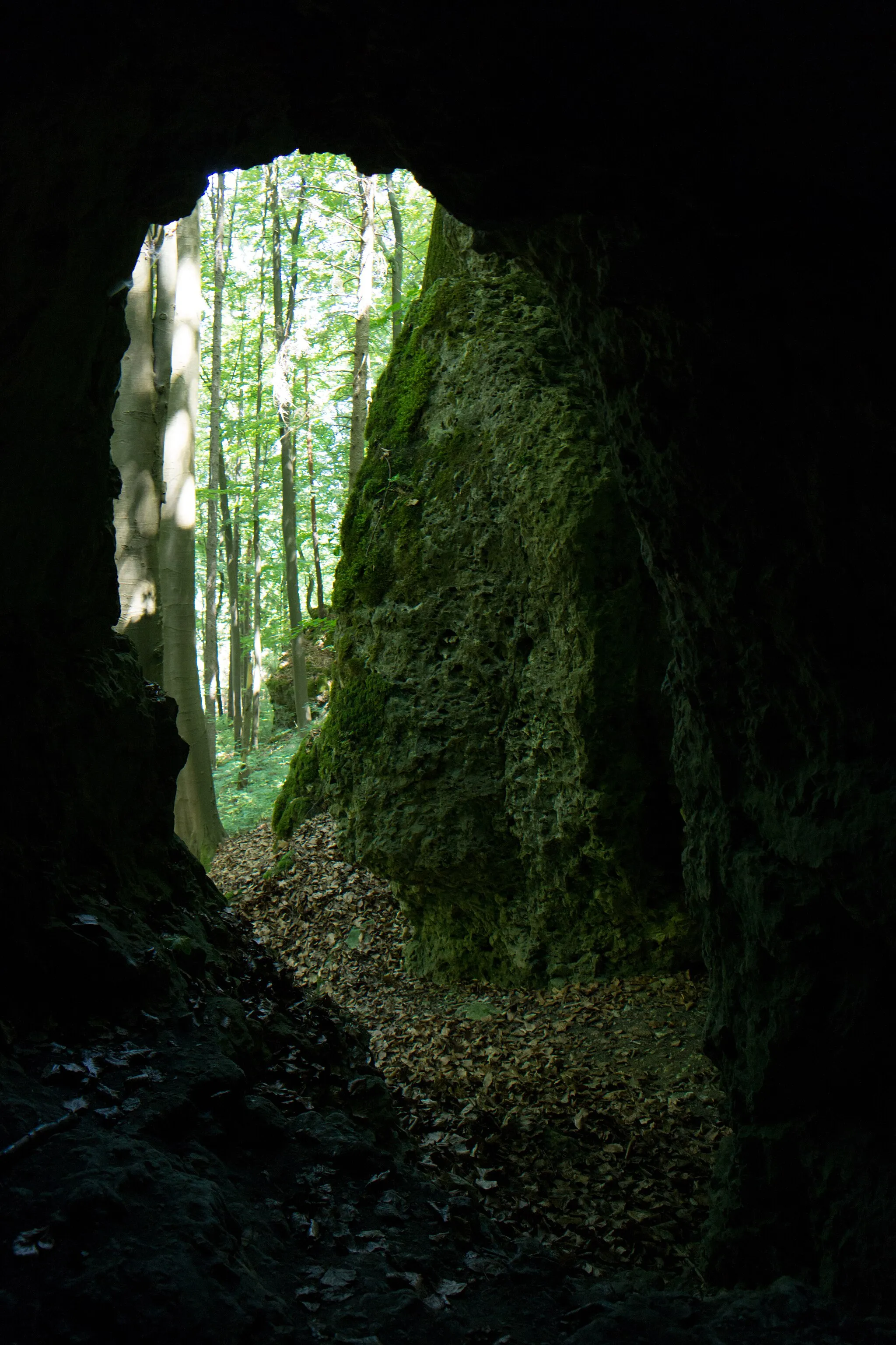 Photo showing: Bodendenkmal D-3-6536-0064: Höhle "Schwarzer Mann" (E 45a) mit vorgeschichtlichen Funden. Ansicht des Höhlenportales vom inneren der Höhle.