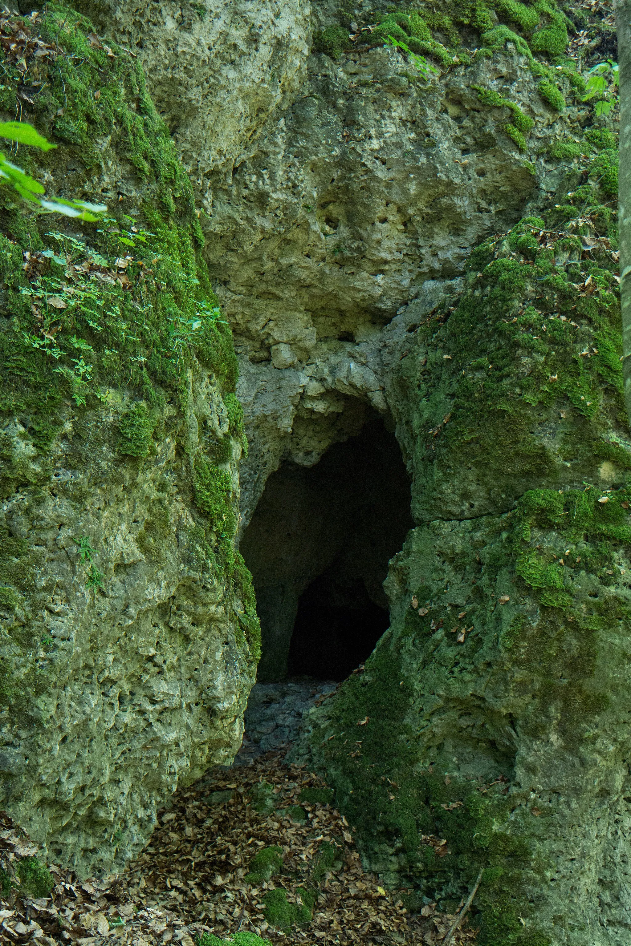 Photo showing: Bodendenkmal D-3-6536-0064: Höhle "Schwarzer Mann" (E 45a) mit vorgeschichtlichen Funden. Ansicht des Höhlenportales.