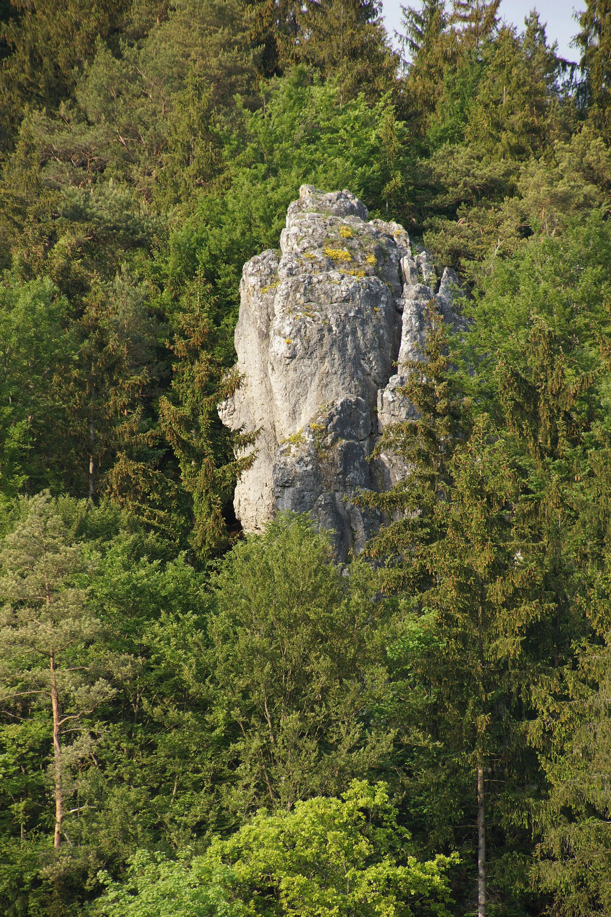 Photo showing: Das Lauterachtal unterhalb von Kastl vor der Einmündung des Mühlhausener Bachs