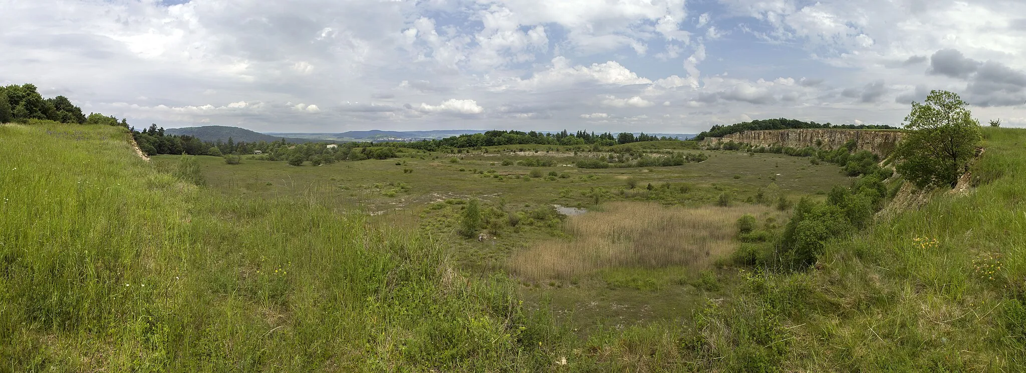 Photo showing: Ehemaliger Steinbruch nordöstlich von Sengenthal, Geotop, FFH Schutzgebiet