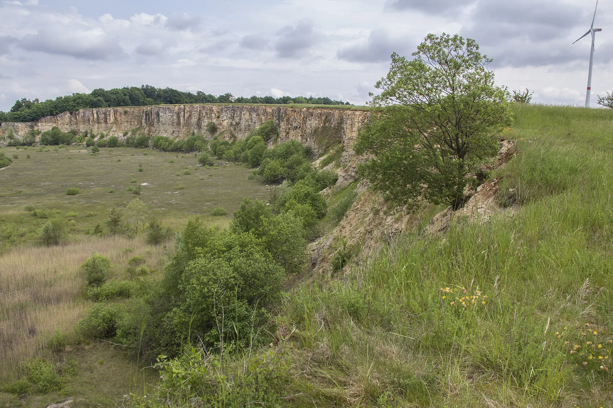 Photo showing: Ehemaliger Steinbruch nordöstlich von Sengenthal, Geotop, FFH Schutzgebiet