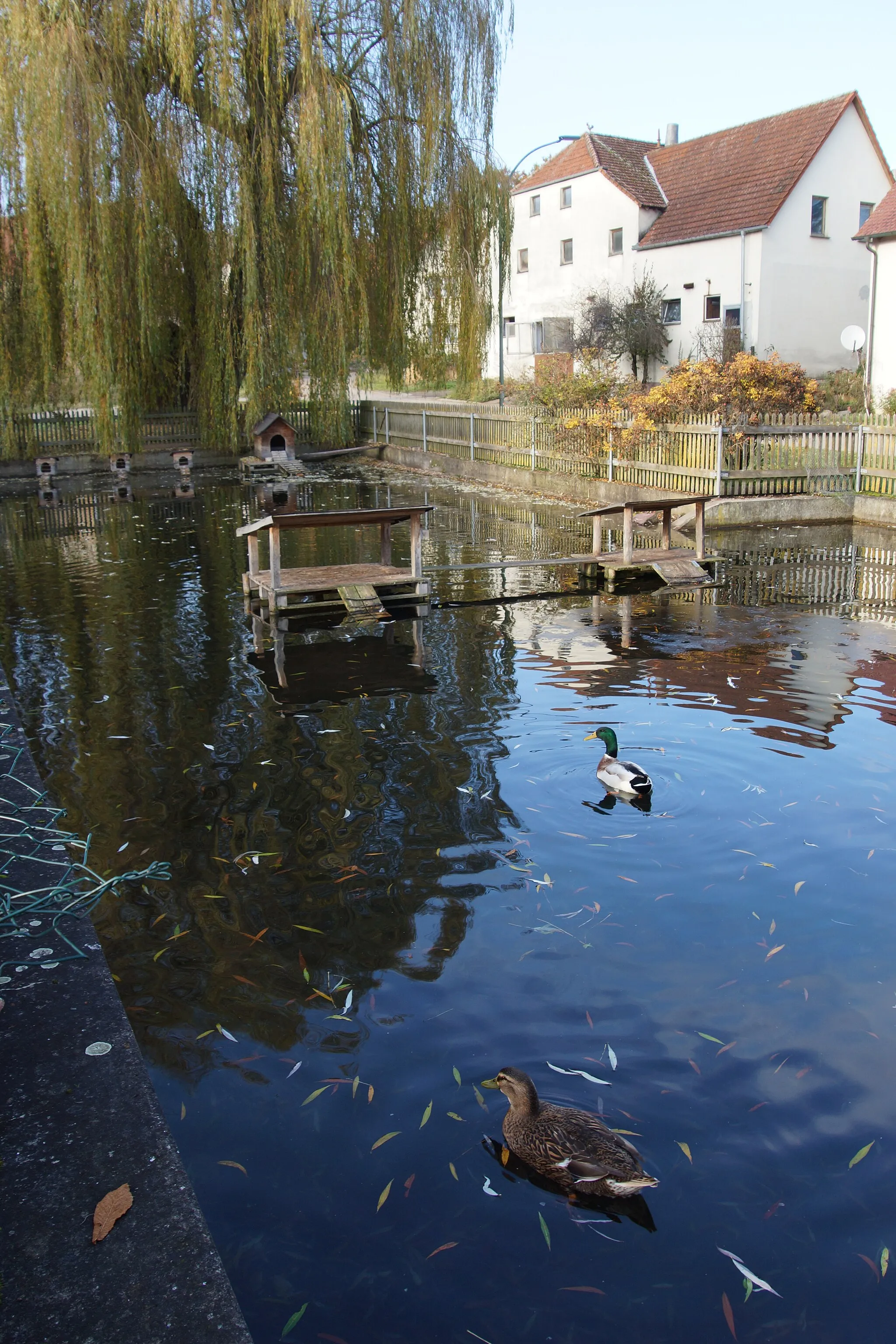 Photo showing: Kainsricht nördlich von Amberg in der Oberpfalz