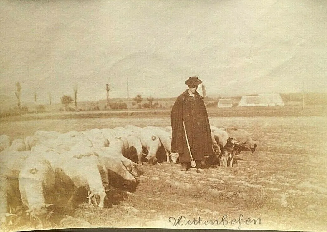 Photo showing: Schäfer mit Herde bei Wettenhofen