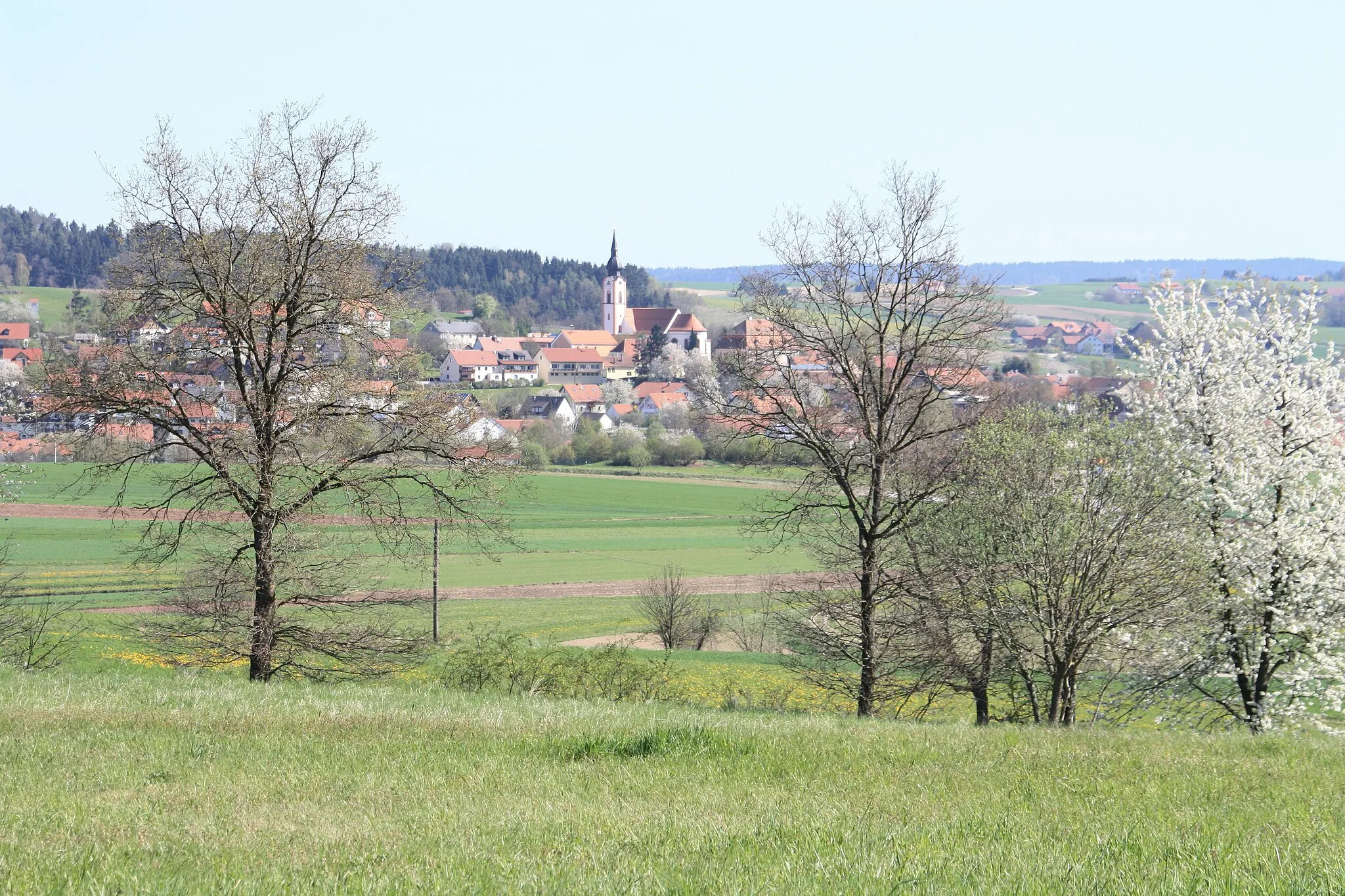 Photo showing: Altenthann (Falkensteiner Vorwald)