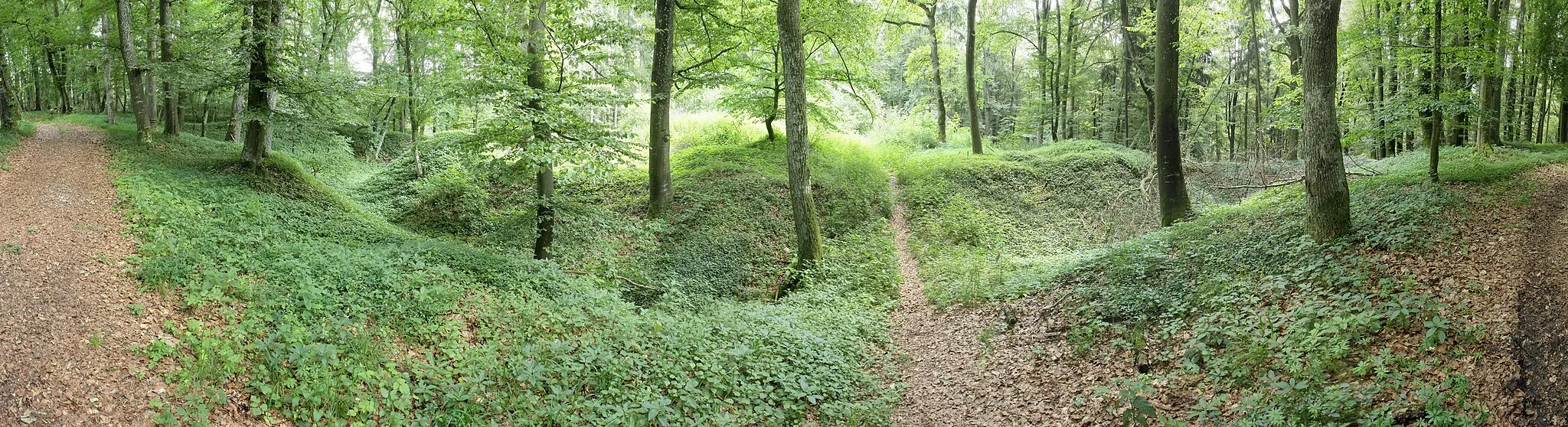 Photo showing: Burgstall Burschel - Gesamtansicht aus westlicher Richtung