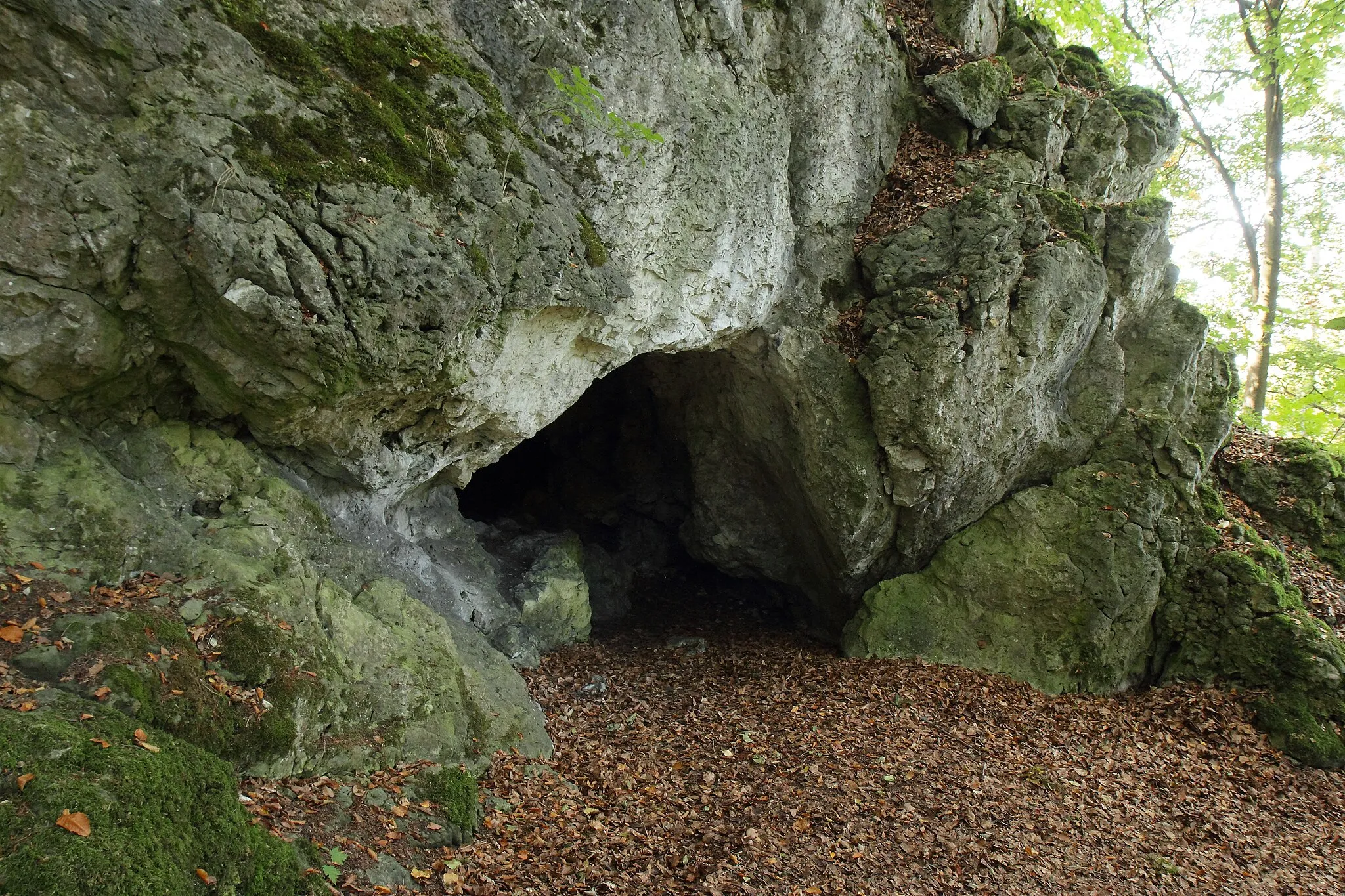 Photo showing: Bodendenkmal D-3-6836-0099: Urnenfelderzeitliche Höhensiedlung, vor- oder frühgeschichtlicher Ringwall, Höhle H 44 mit archäologischen Funden, Höhlenportal der Höhle am Buchberg (H 44)