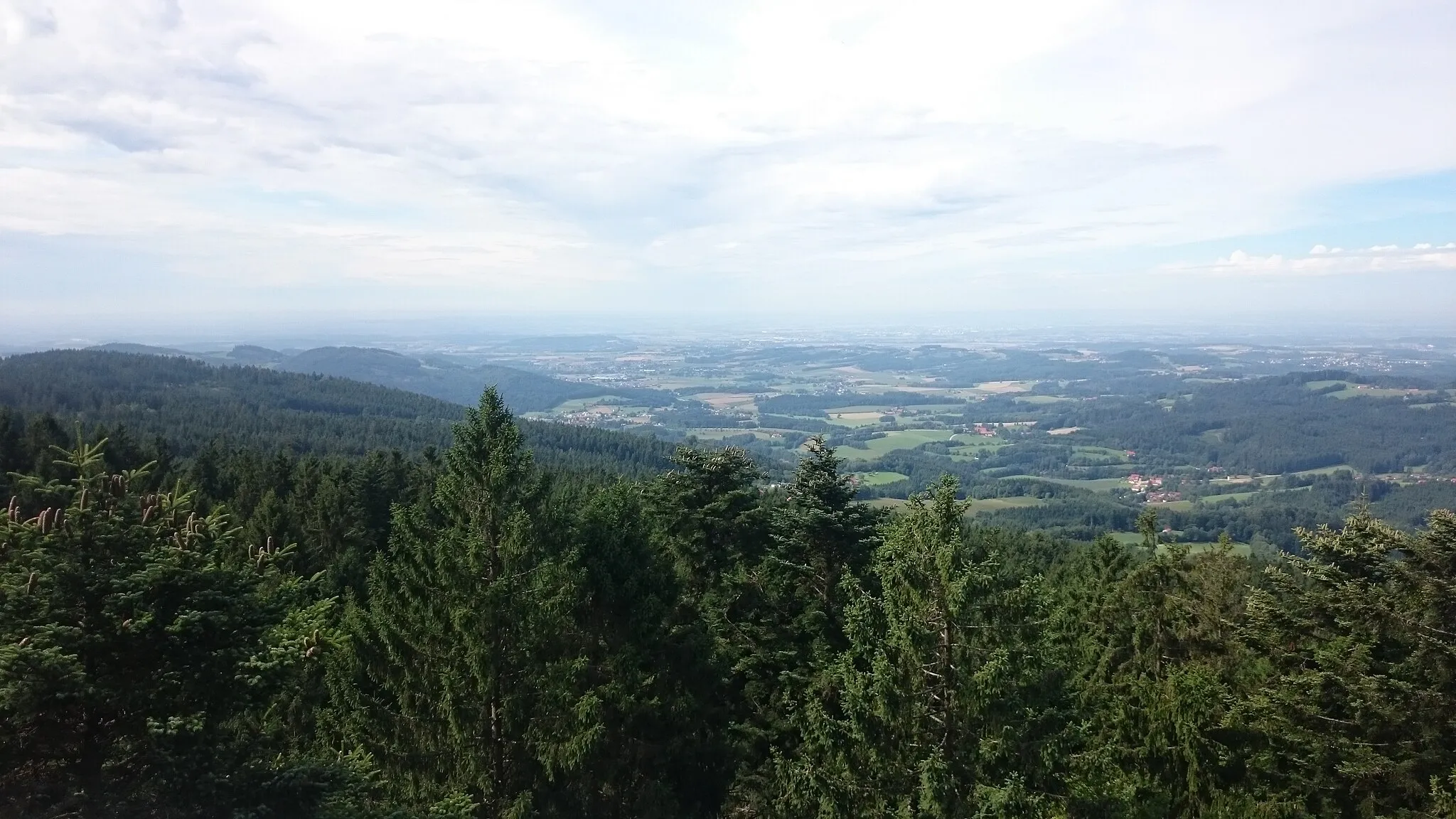 Photo showing: Blick vom Baumwipfelpfad Sankt-Englmar