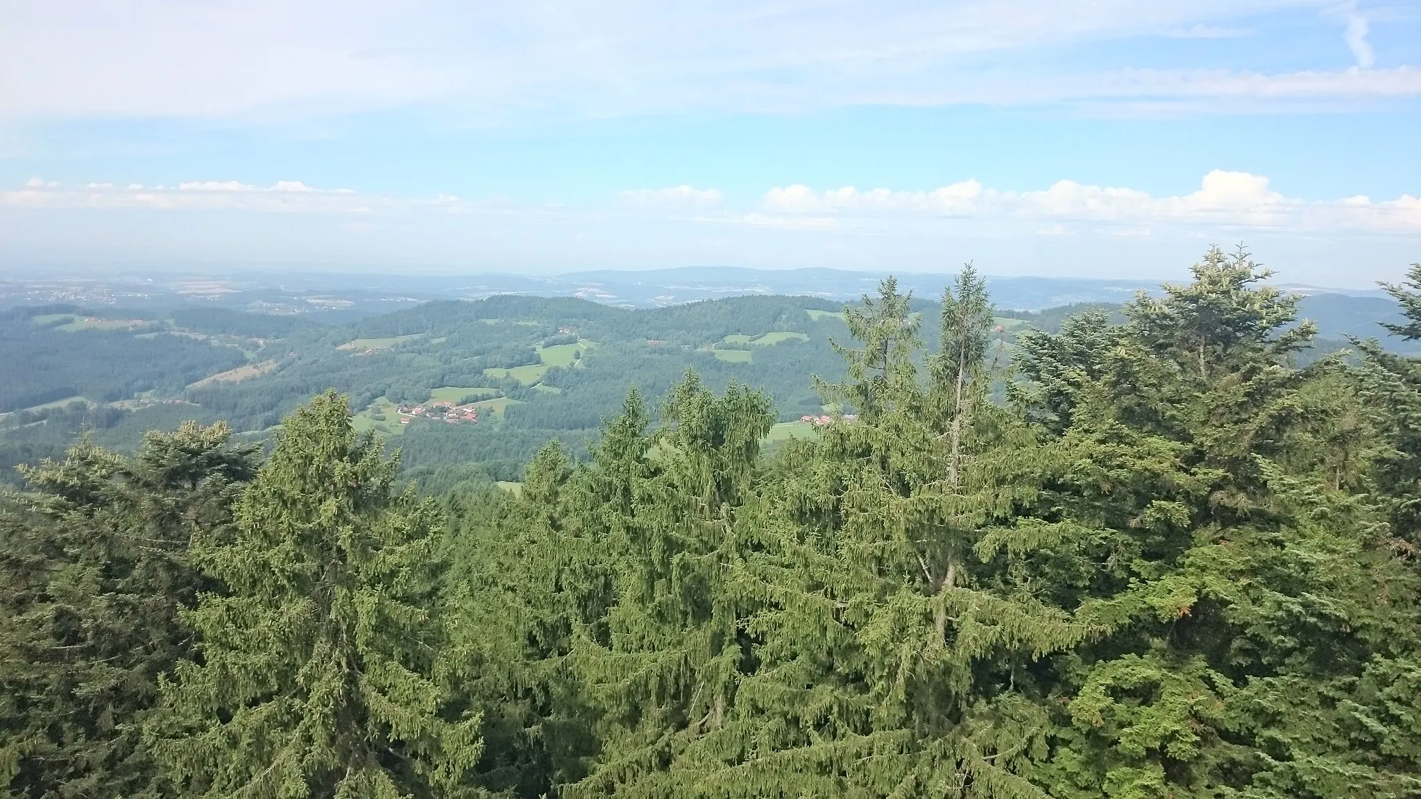 Photo showing: Blick vom Baumwipfelpfad Sankt-Englmar