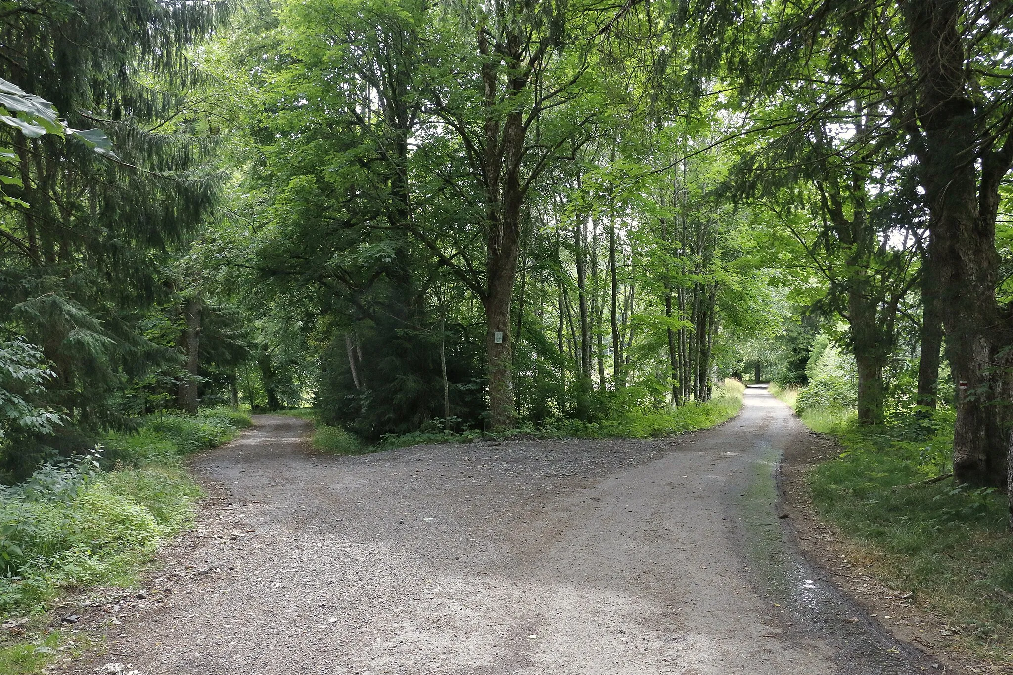 Photo showing: Landscape by Debrník, part of Železná Ruda, Czech Republic.