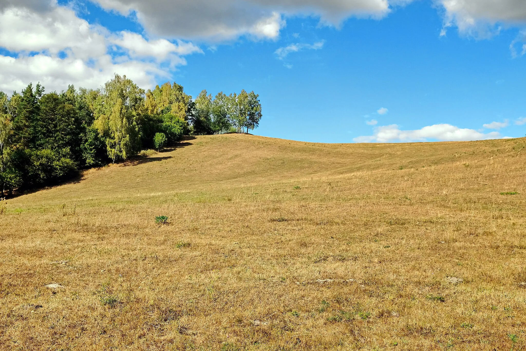 Photo showing: Bystřina, zaniklá osada ve Slavkovském lese, pastviny pod libavskou vyhlídkou, okres Sokolov