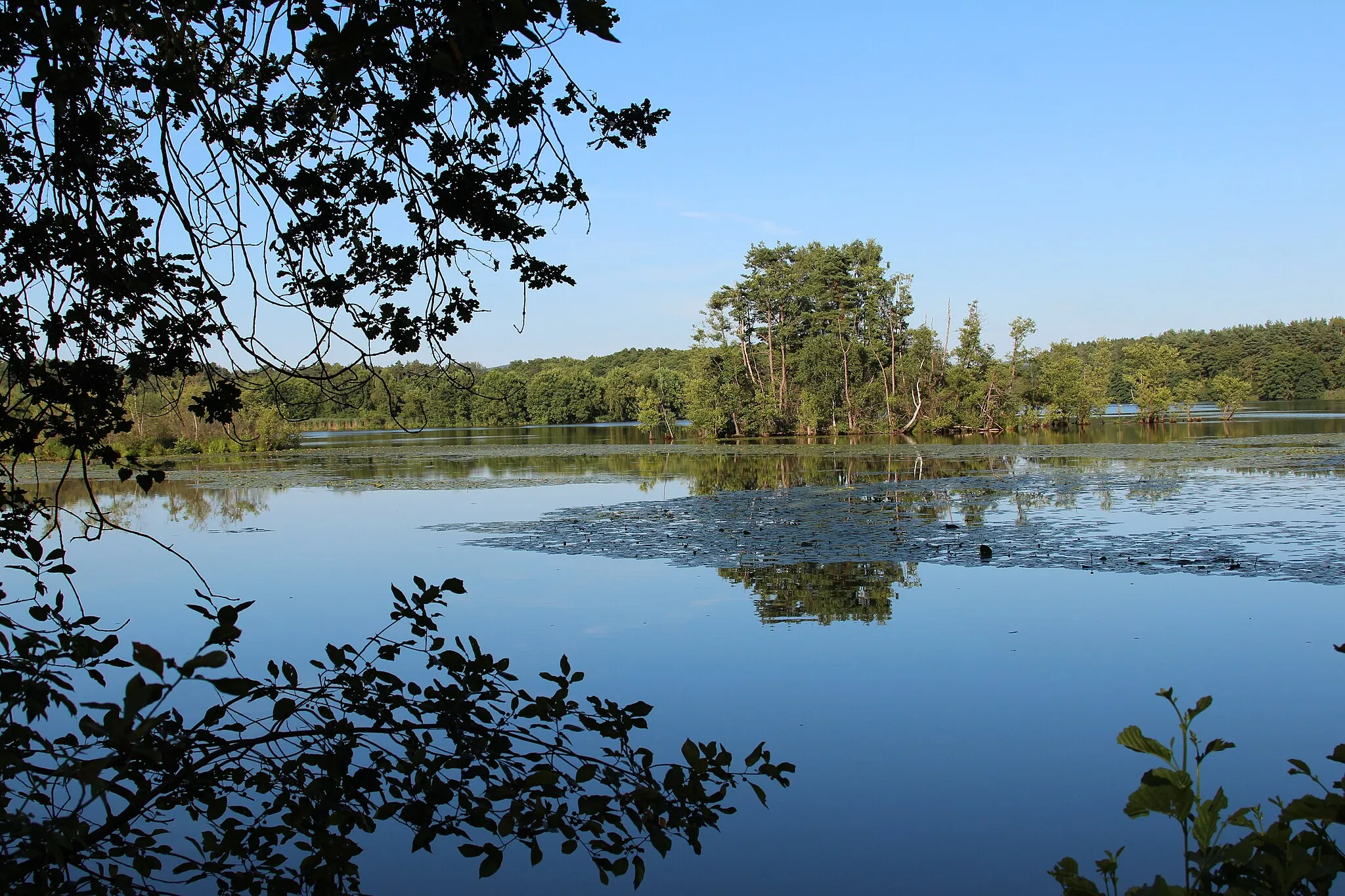 Photo showing: Charlottenhofer Weihergebiet, Forstweiher: Landkreis Schwandorf, Oberpfalz, Bayern