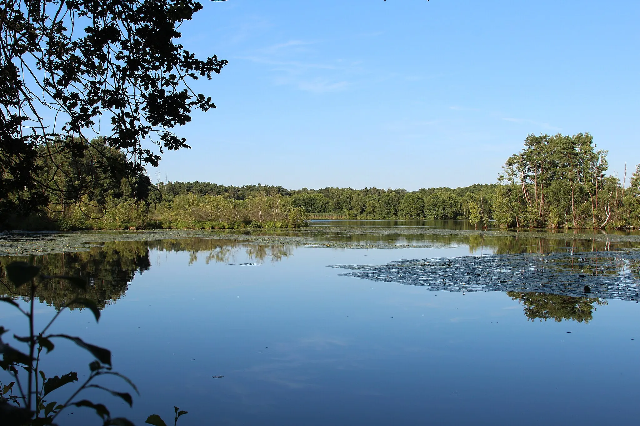 Photo showing: Charlottenhofer Weihergebiet, Forstweiher: Landkreis Schwandorf, Oberpfalz, Bayern