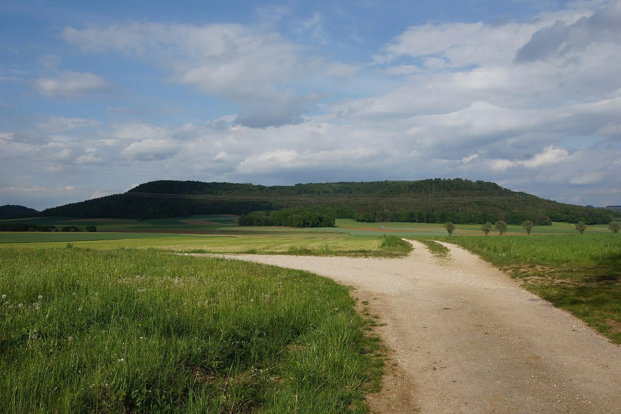 Photo showing: Reichertshofen: Buchberg