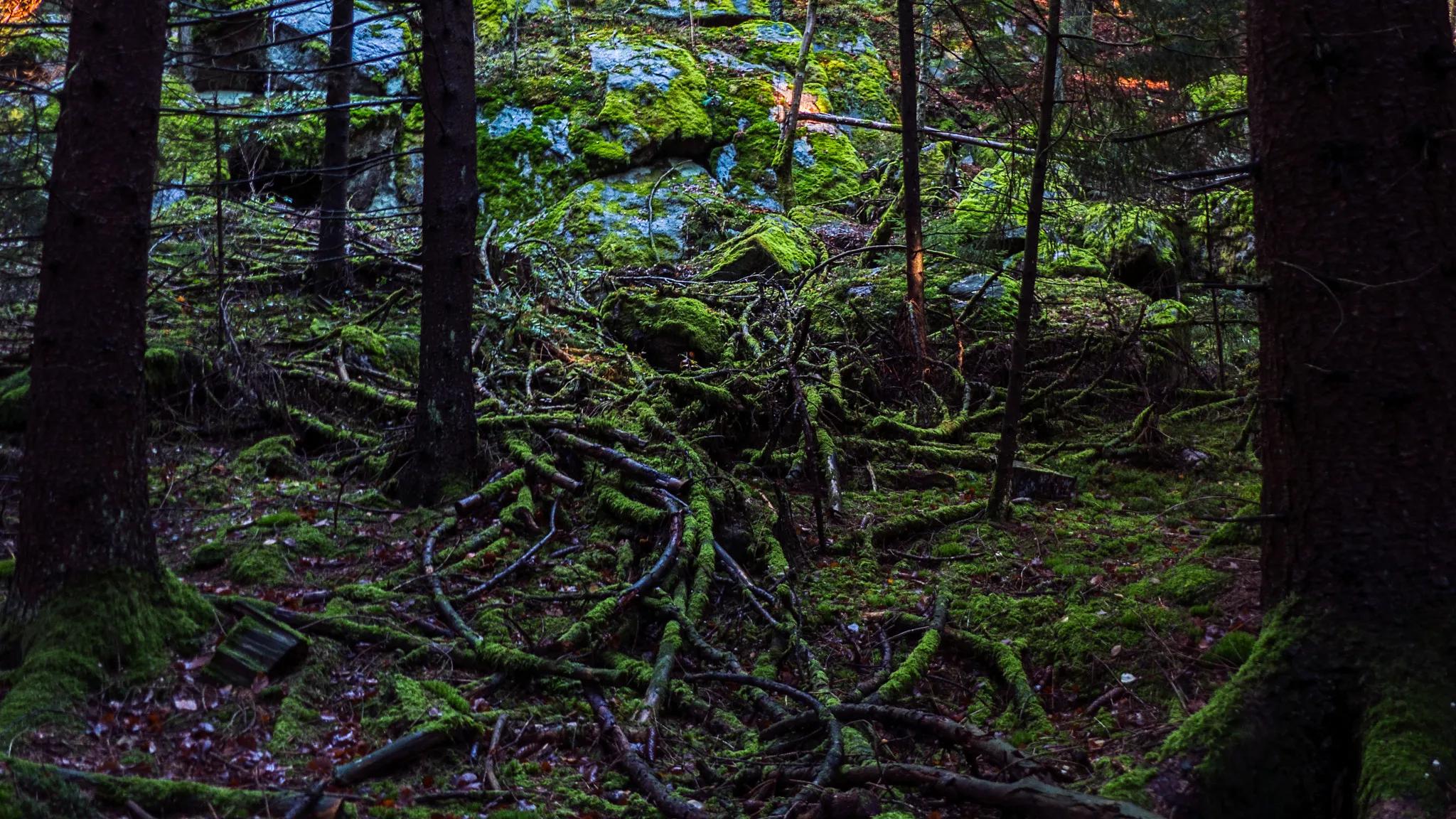 Photo showing: 500px provided description: Mystic Heap Of Branches [#Rocks ,#Trees ,#Woods ,#Dark ,#Mood ,#Wallpaper ,#Bavaria ,#Branches ,#Mystic ,#Chaos ,#Dosh]