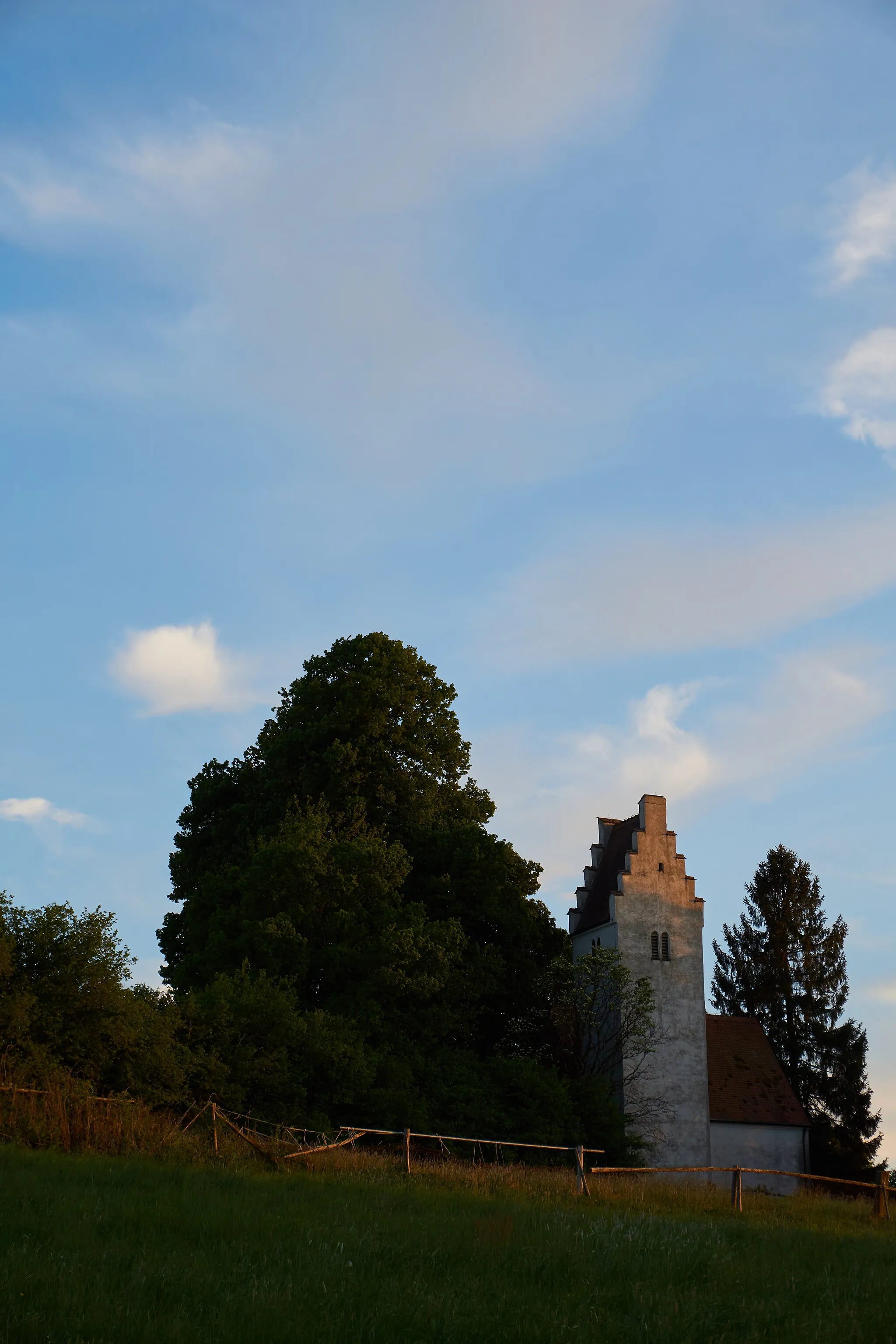 Photo showing: Naturdenkmal alte Linde bei Kirche St. Ruppert bei Wiesenfelden