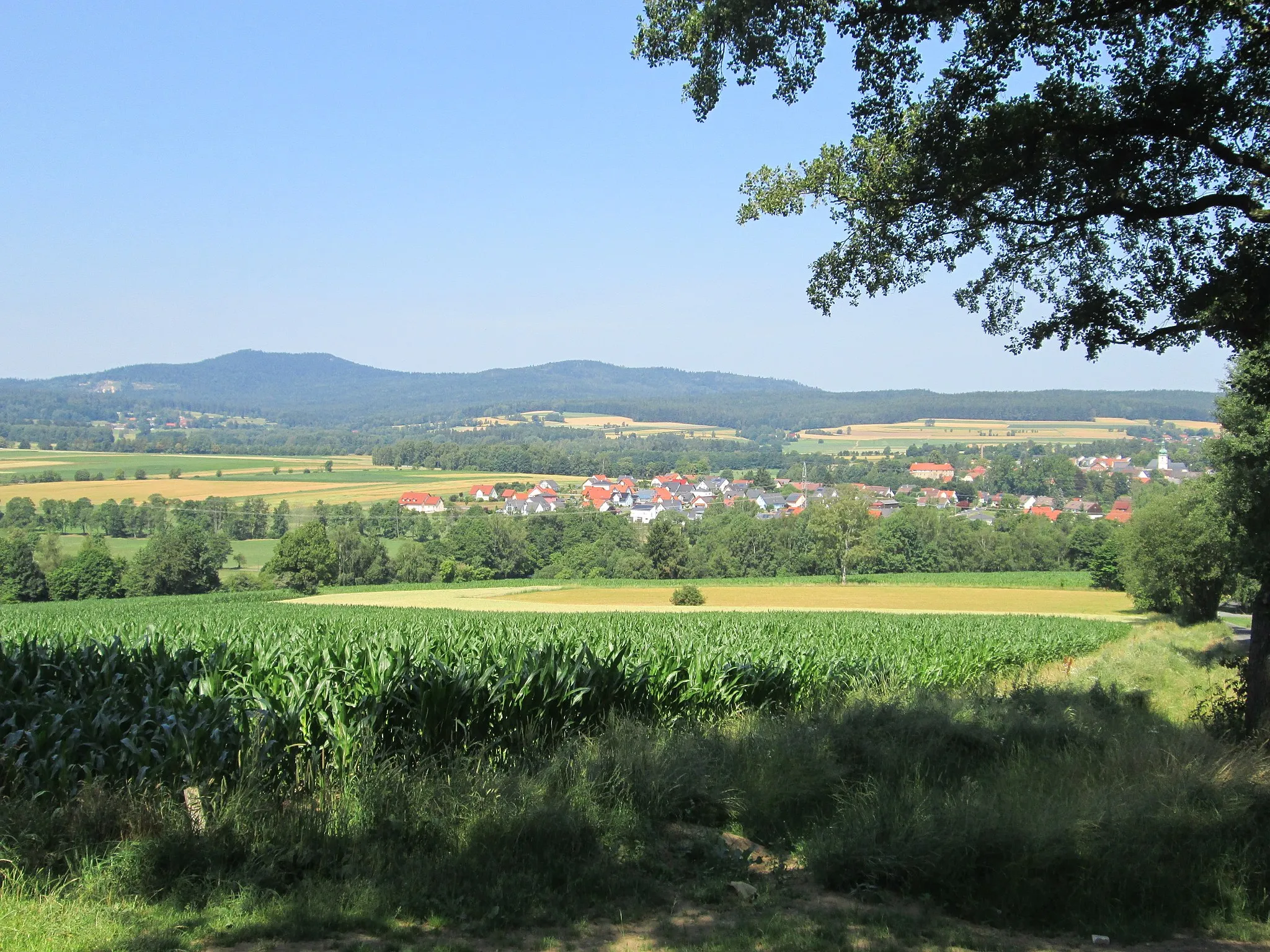 Photo showing: Blick vom Wolfersreuther Berg über die Waldershofer Senke zur Kösseine