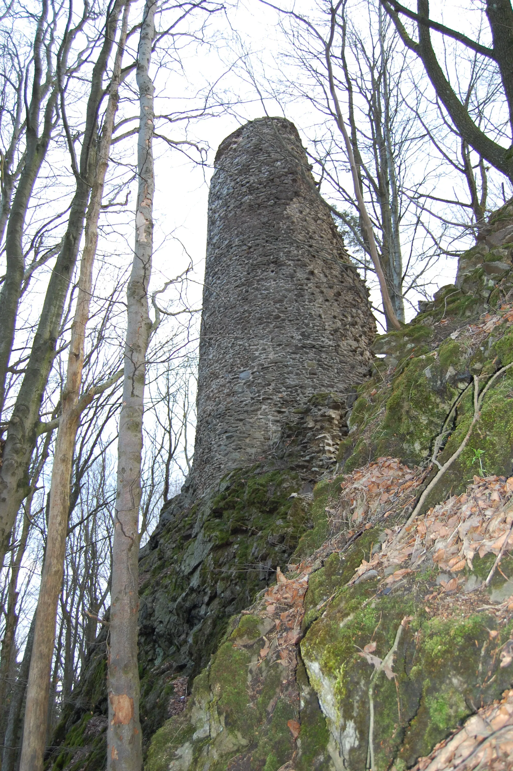 Photo showing: Turm der Burgruine Reichenstein bei Stadlern, Landkreis Schwandorf, Oberpfalz (2011)