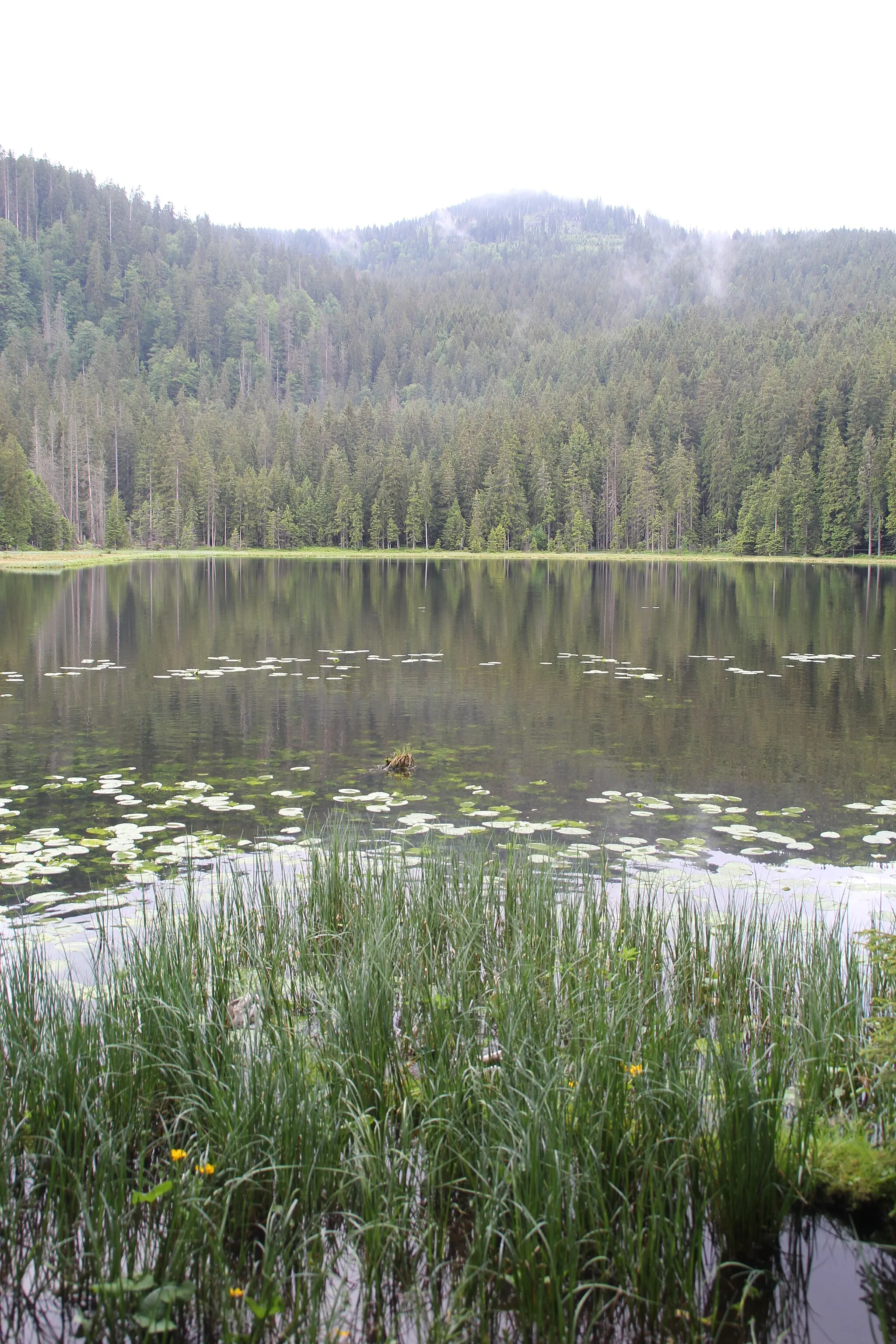 Photo showing: Großer Arbersee und Großer Arber