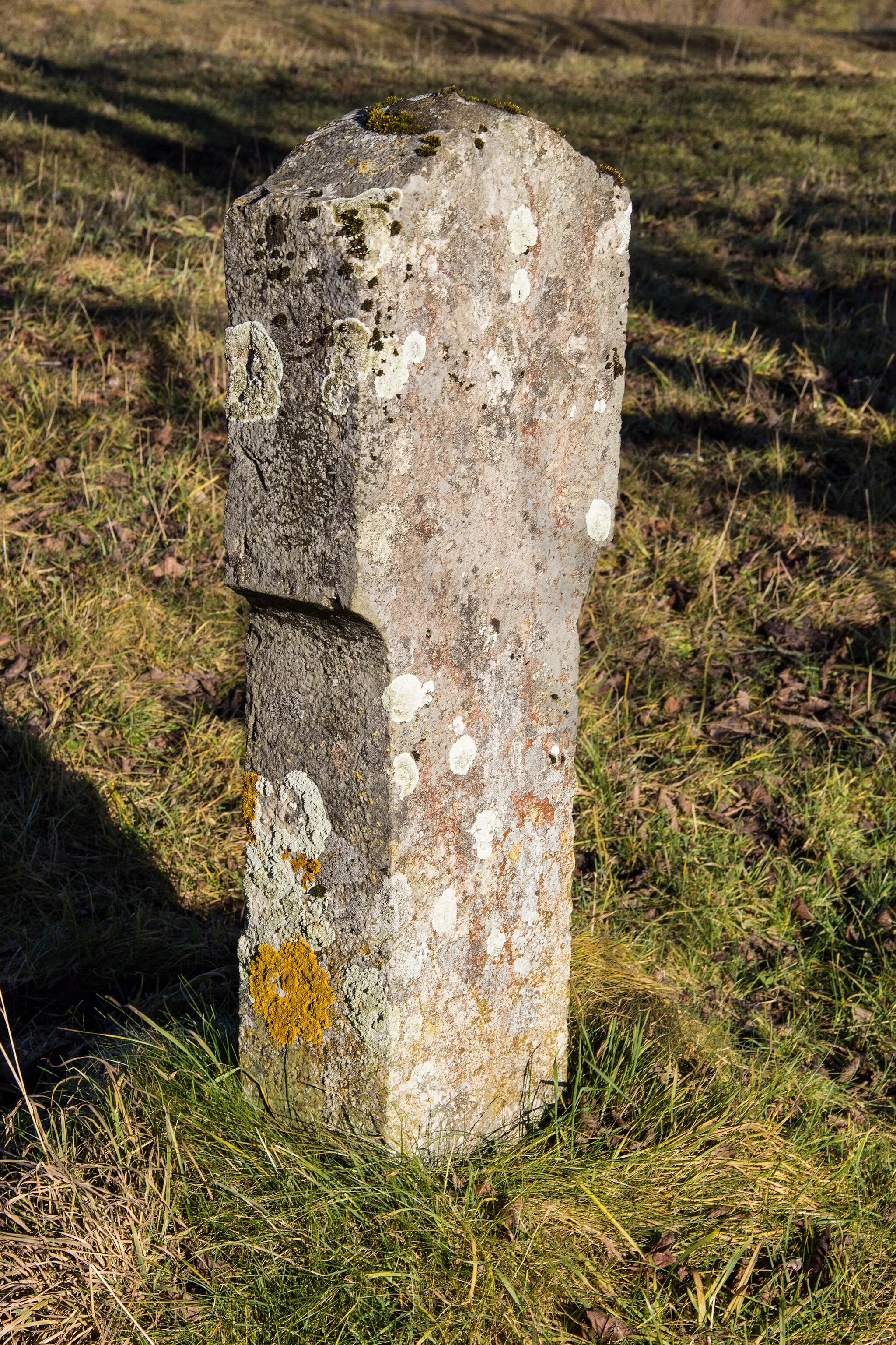 Photo showing: Kleiner Bildstock bei Bechthal