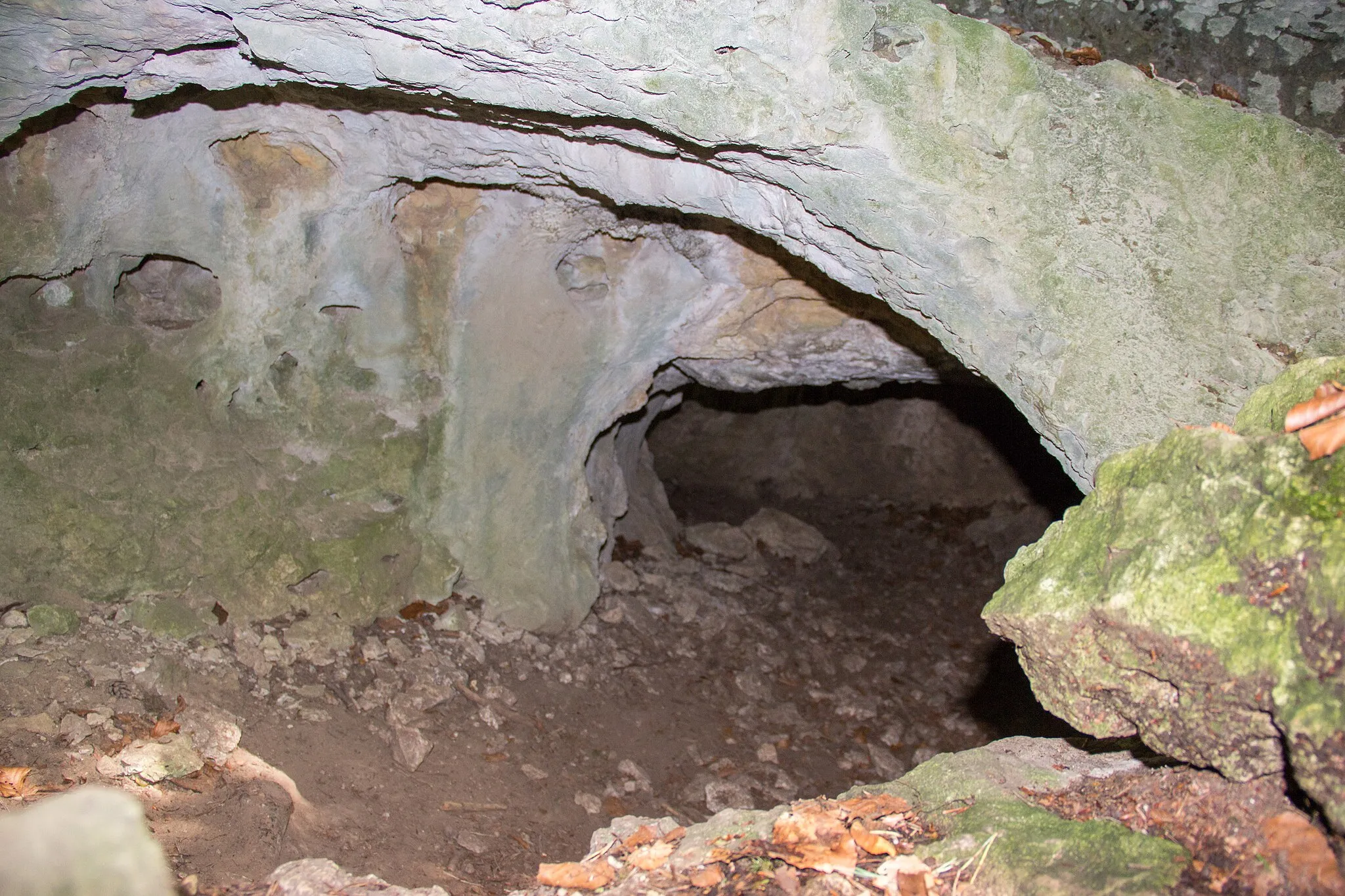 Photo showing: Dürrnberghöhle, Neutras