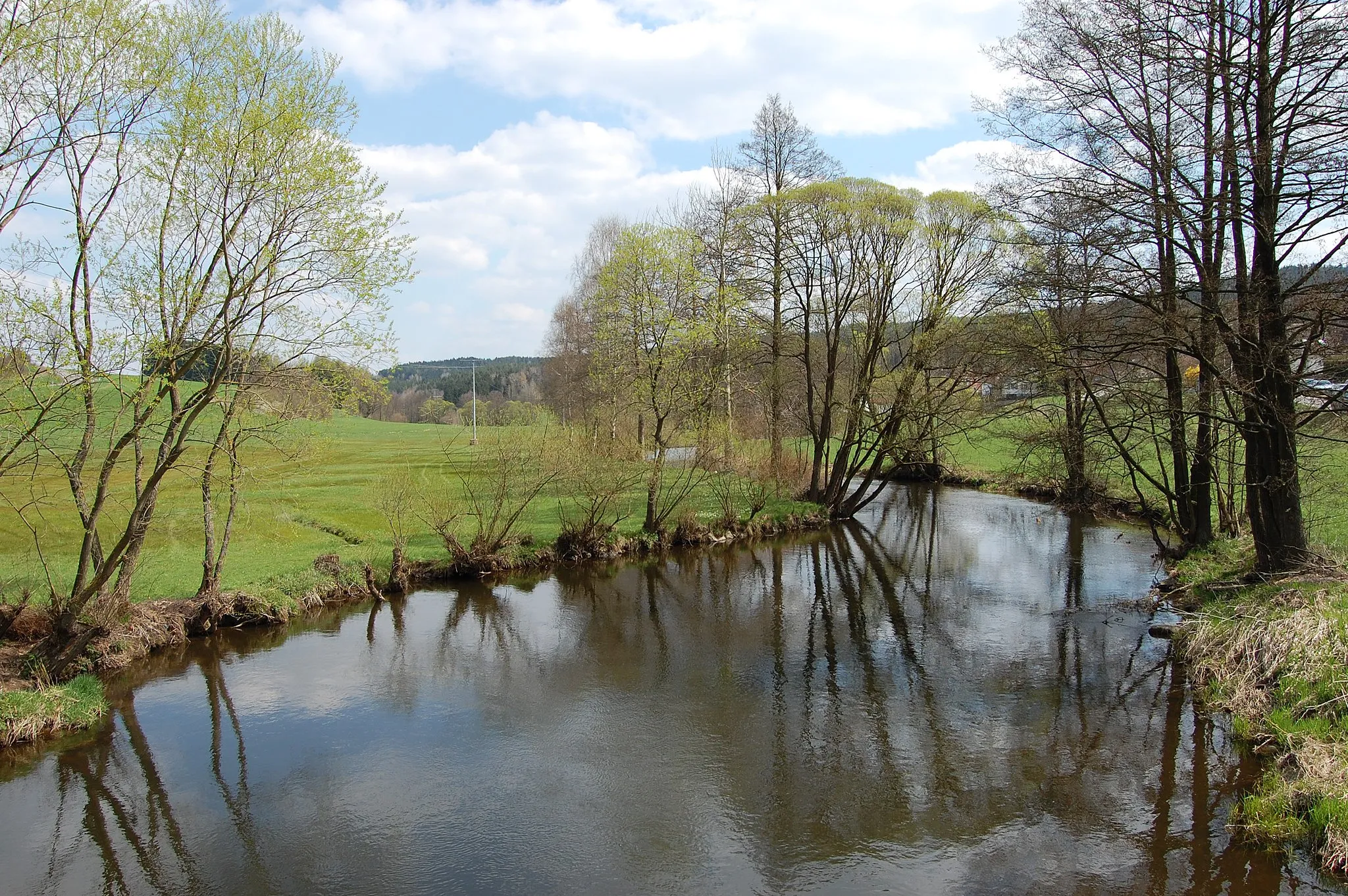 Photo showing: Böhmischbruck, Fluss Pfreimd bei Böhmischbruck (2011)