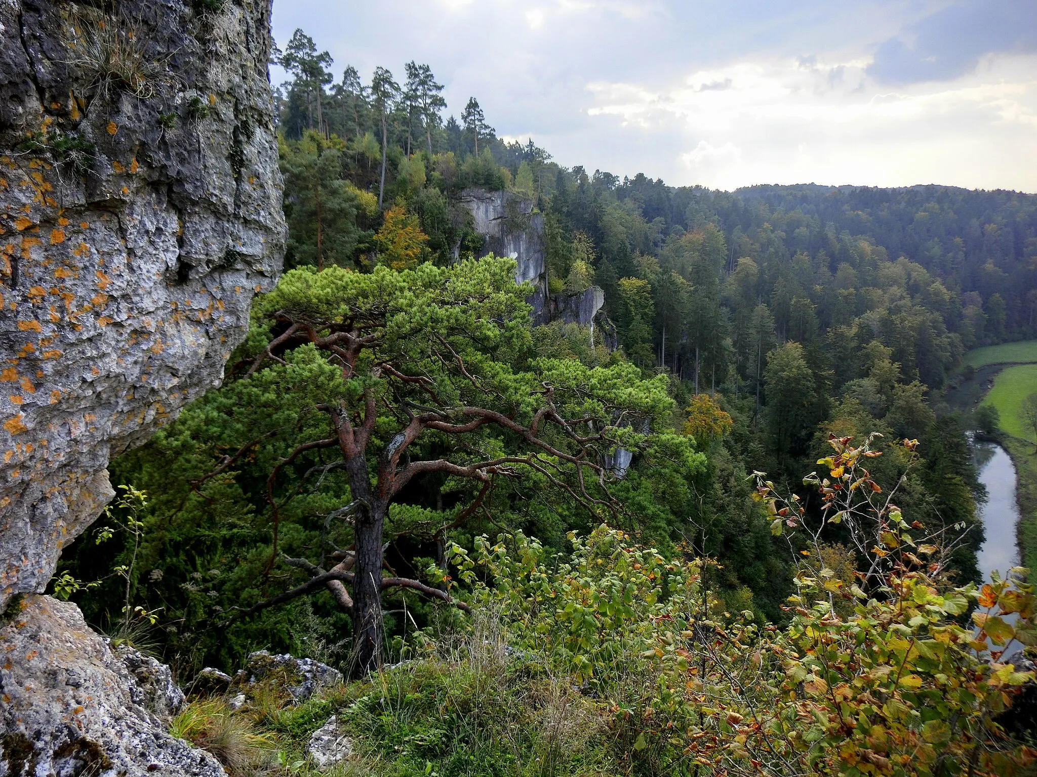 Photo showing: König-Ludwig-Steig 2