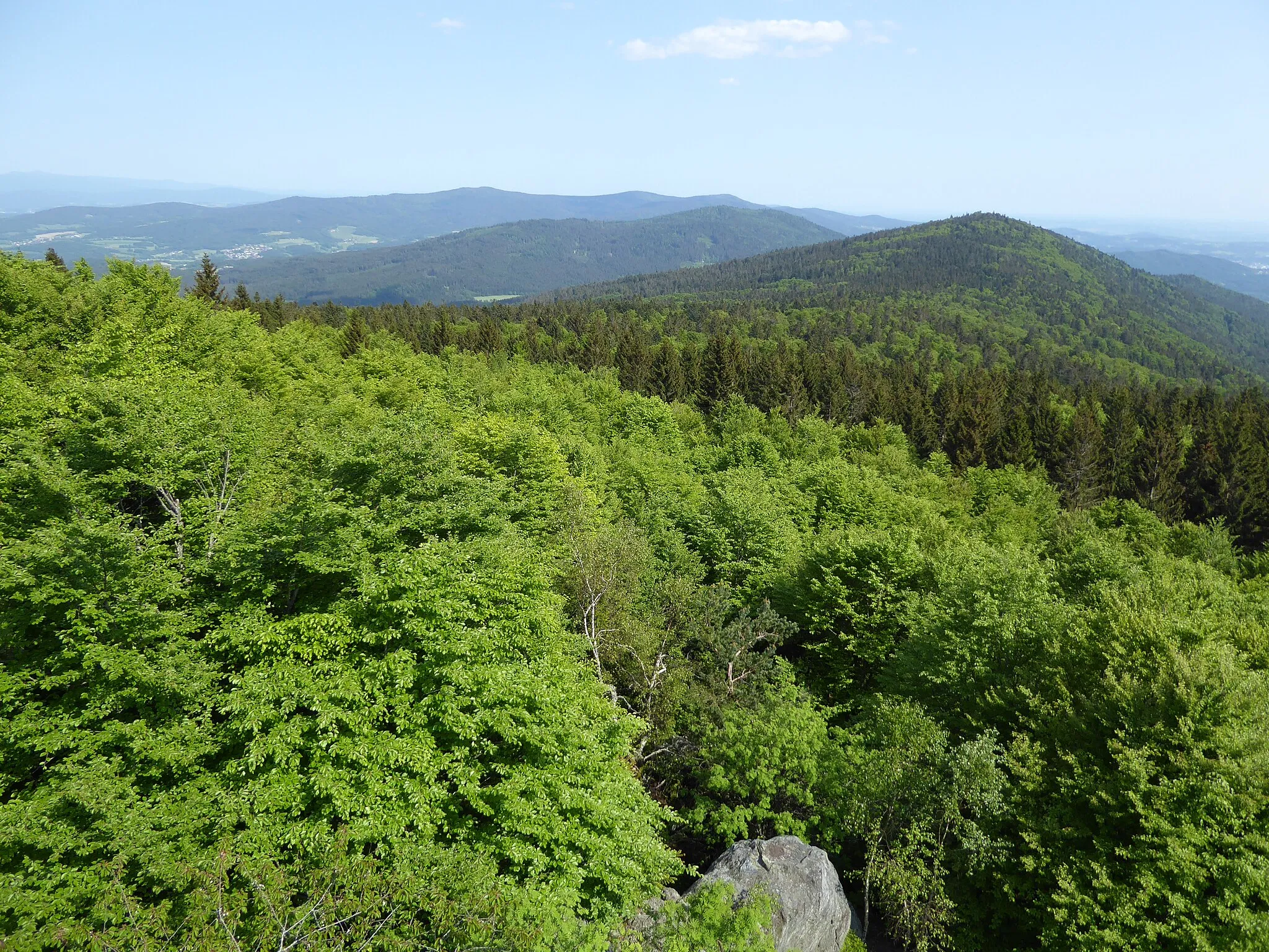 Photo showing: Blick vom Aussichtsturm des Hirschenstein im Gemeindegebiet von Schwarzach auf den Bergmischwald im Deggendorfer Vorwald (FFH-Gebiet). Das Waldgebiet befindet sich auf einer Höhenlage von ca. 1.000 m.
