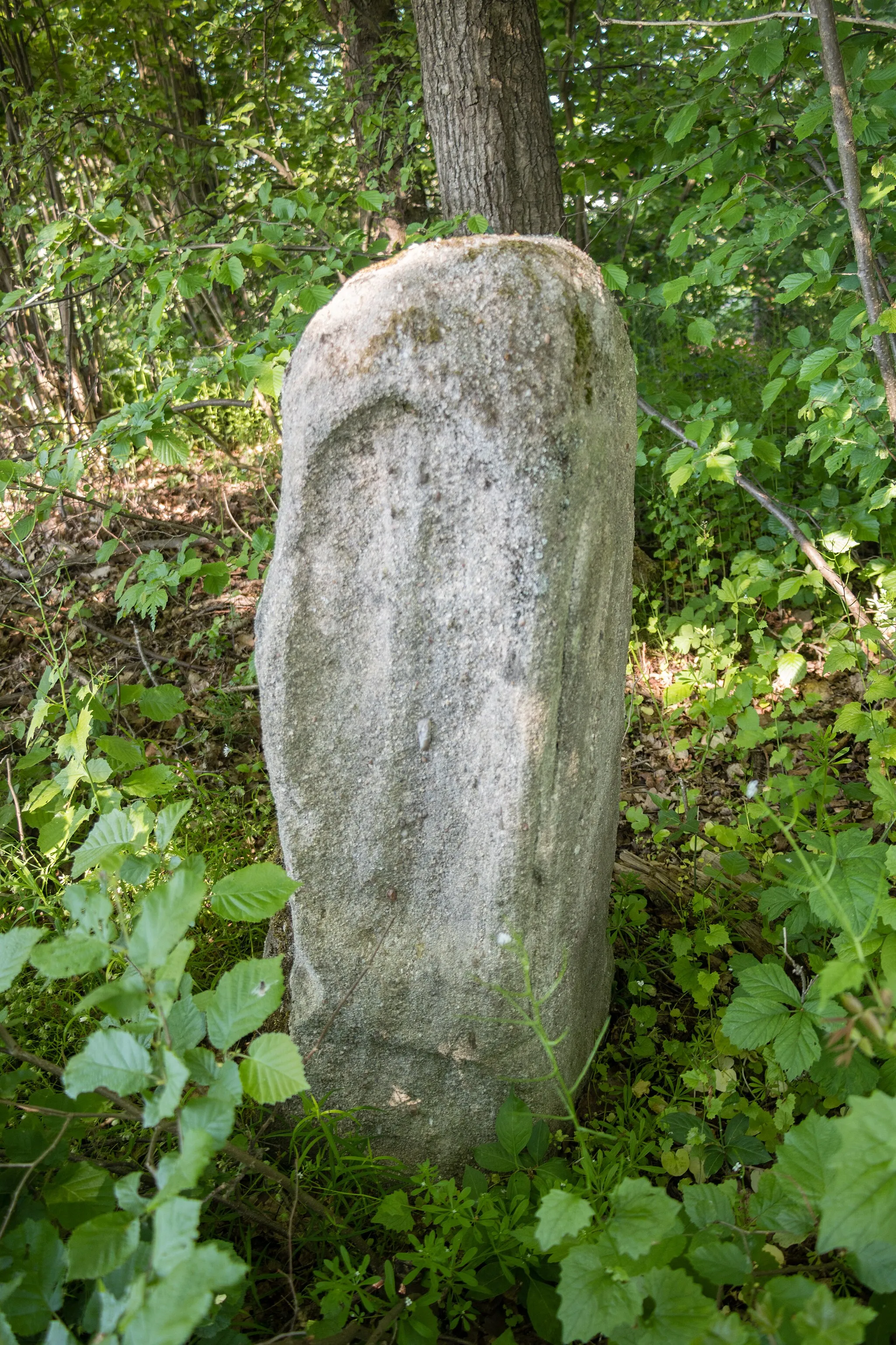 Photo showing: Kreuzstein, Eismannsdorf, Relief, Allersberg