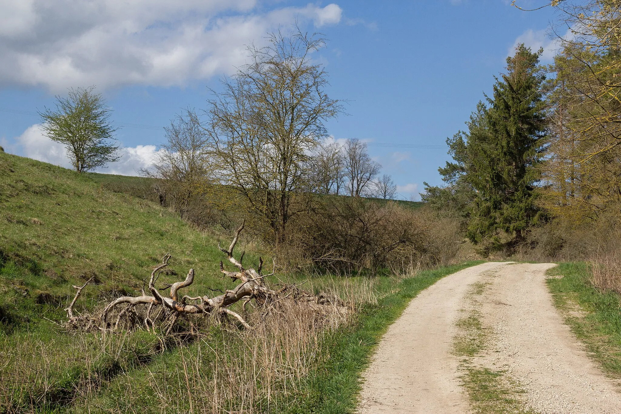 Photo showing: Kuhbachtal, Hausen, Röckenhofen, Naturschutzgebiet Kuhbachtal bei Hausen, Landschaftsschutzgebiet und Naturpark Altmühltal, FFH-Gebiet Trauf der südlichen Frankenalb