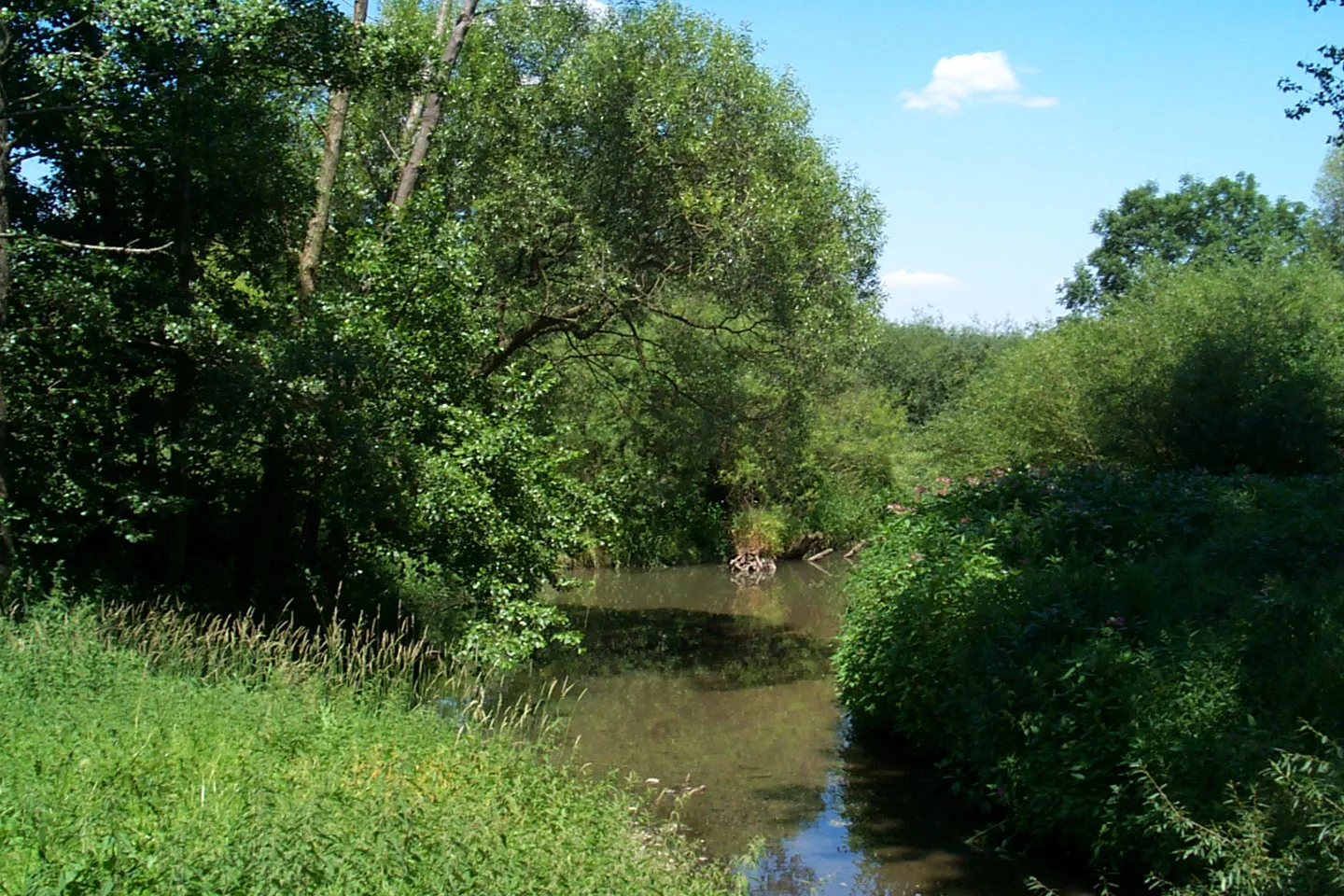 Photo showing: Drahtinsel beim LBV-Zentrum für Mensch und Natur