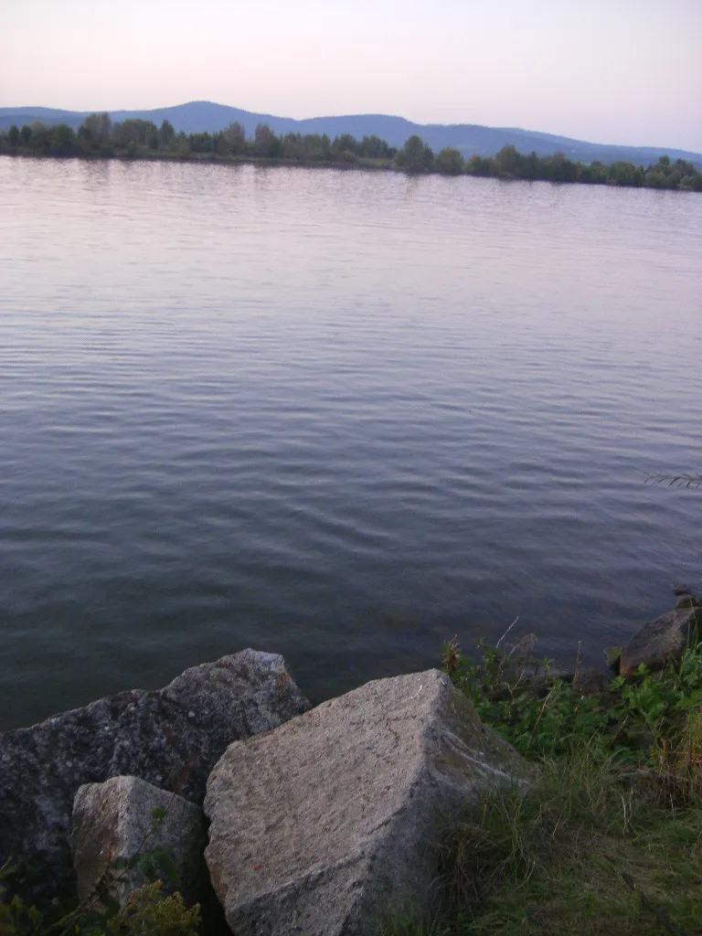 Photo showing: Danube near Oberzeitdorn (Kirchroth municipality)