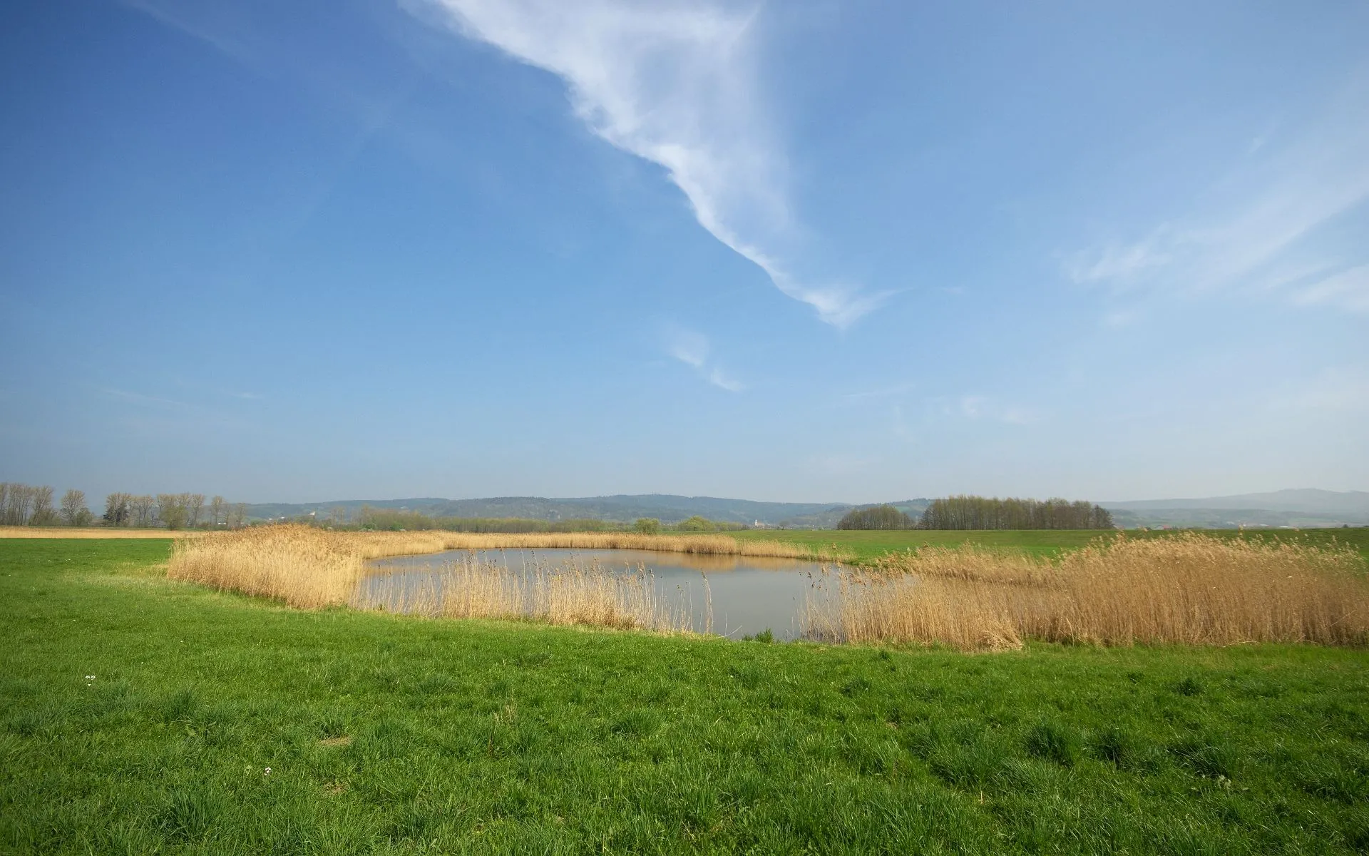 Photo showing: Naturschutzgebiet bei Stadldorf.