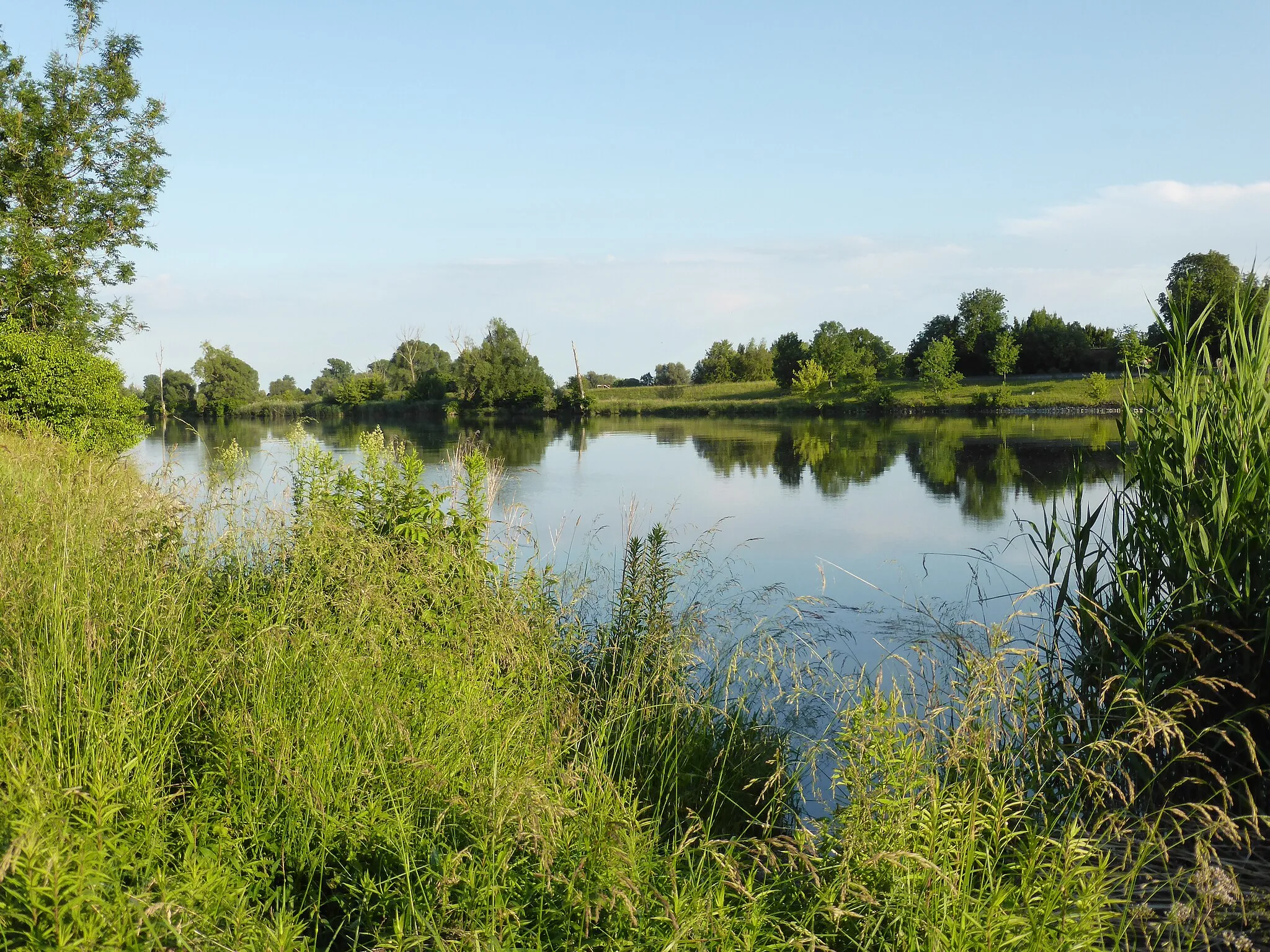 Photo showing: Die Donau im Abschnitt Stadldorf im Landkreis Straubing-Bogen. Hier grenzt auch das Naturschutzgebiet "Donauauen bei Stadldorf" an. Dort sind viele Vögel zu beobachten.